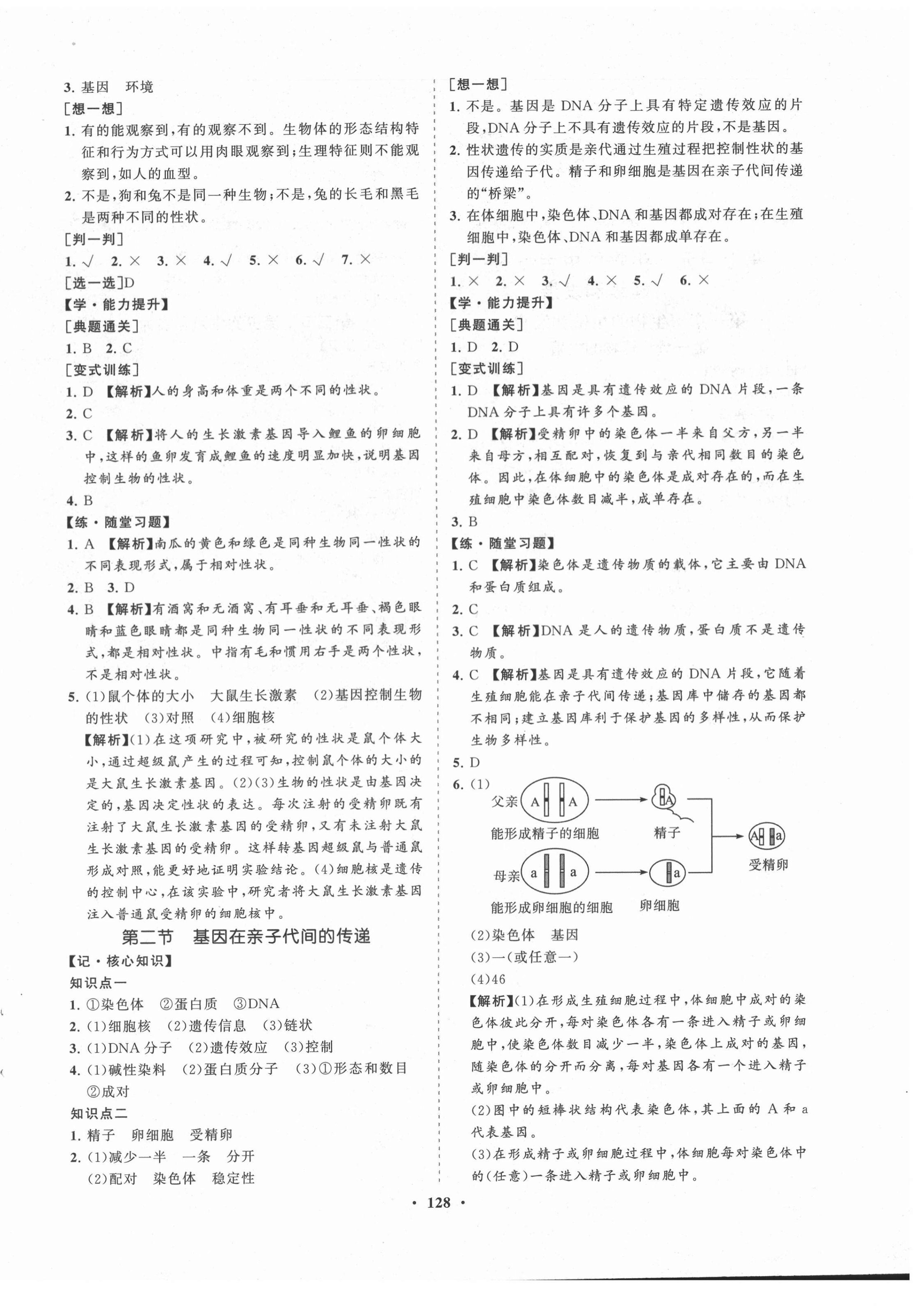 2021年新課程同步練習(xí)冊知行課堂八年級生物下冊人教版 第4頁