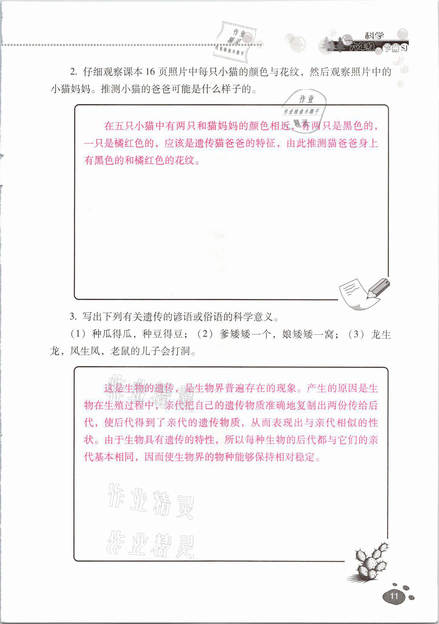 2021年云南省標(biāo)準(zhǔn)教輔同步指導(dǎo)訓(xùn)練與檢測六年級(jí)科學(xué)下冊蘇教版 參考答案第10頁