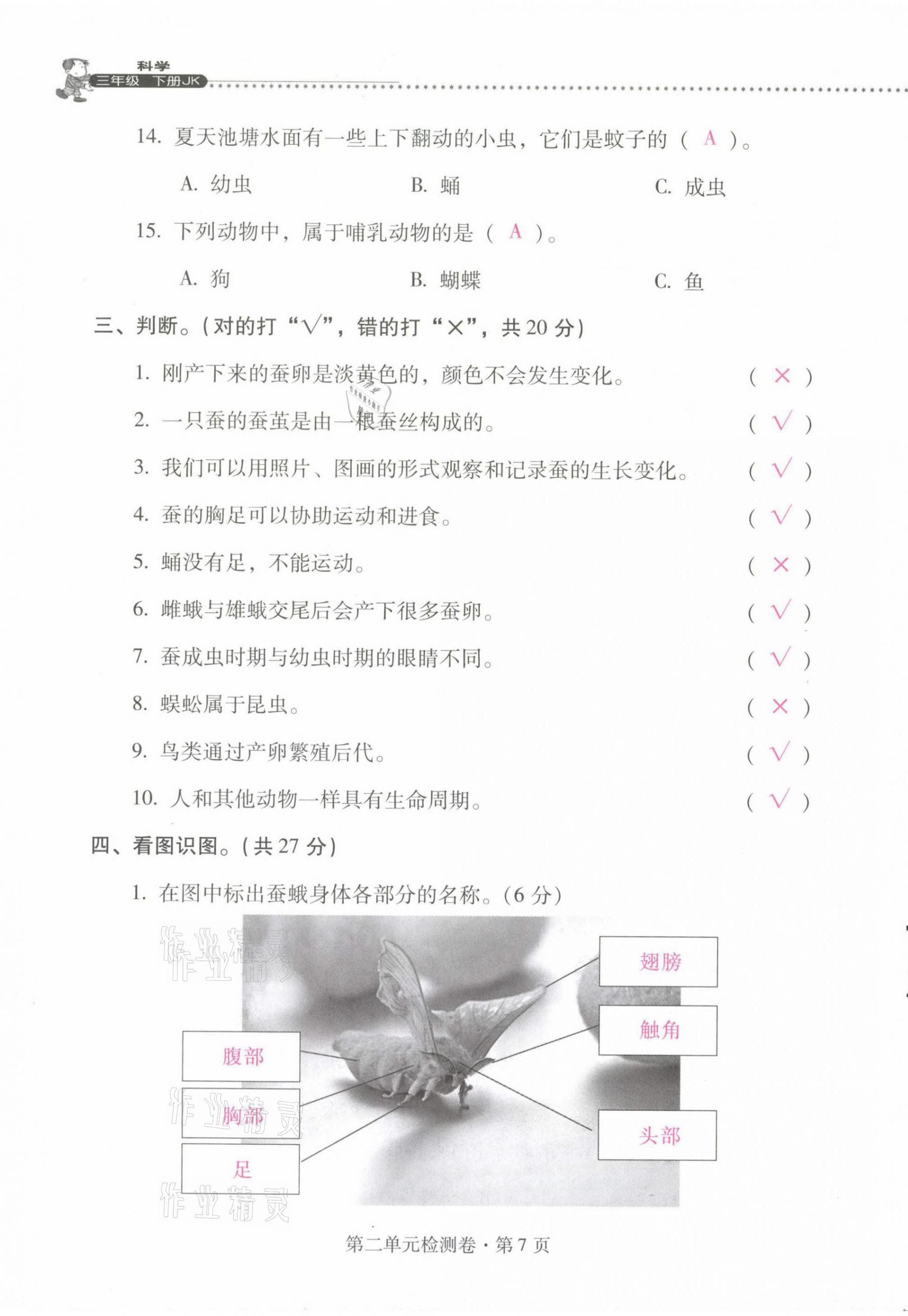 2021年云南省標(biāo)準(zhǔn)教輔同步指導(dǎo)訓(xùn)練與檢測三年級科學(xué)下冊教科版 第7頁