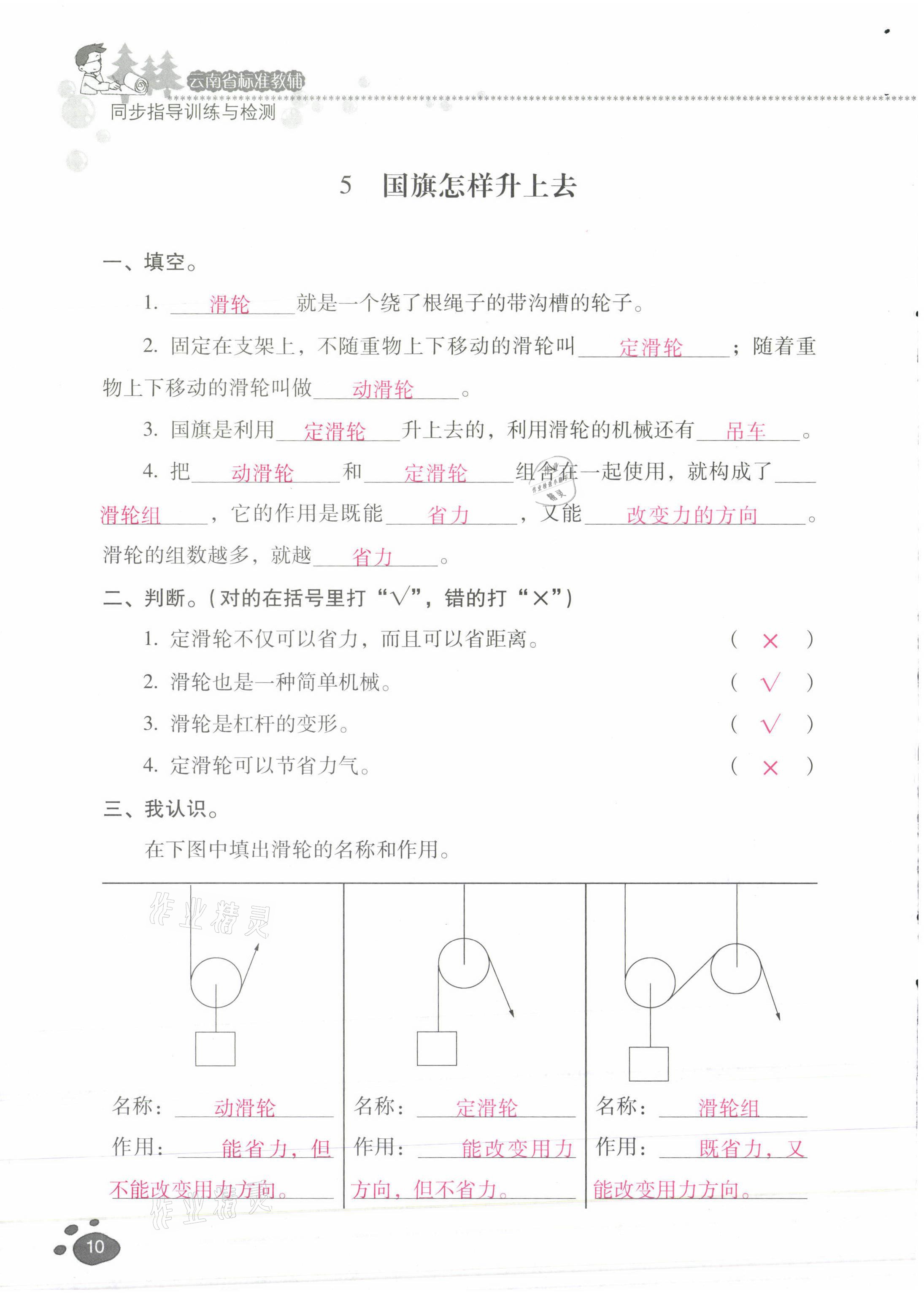 2021年云南省标准教辅同步指导训练与检测五年级科学下册苏教版 第9页