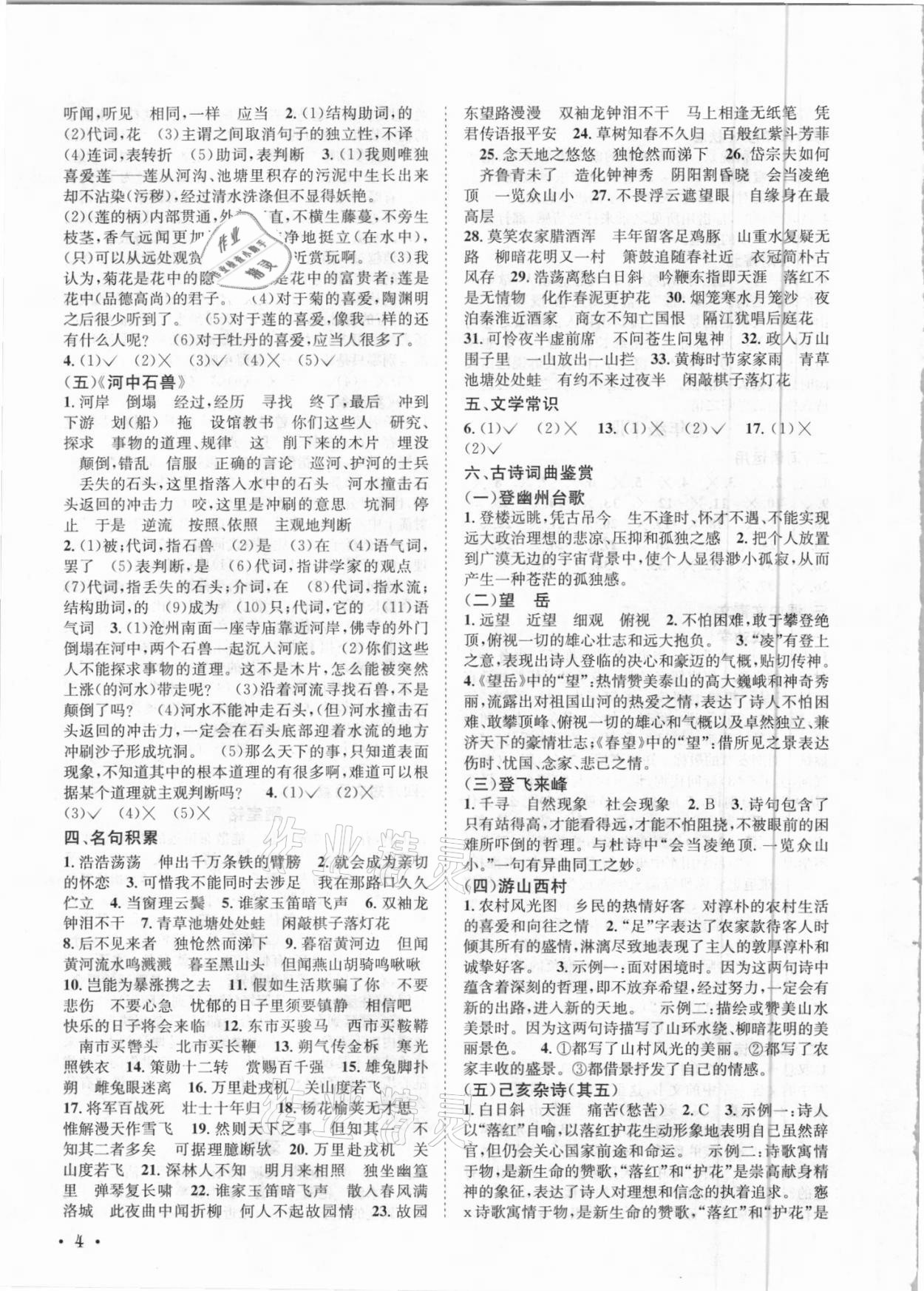 2021年直通中考語(yǔ)文南方出版社 第4頁(yè)