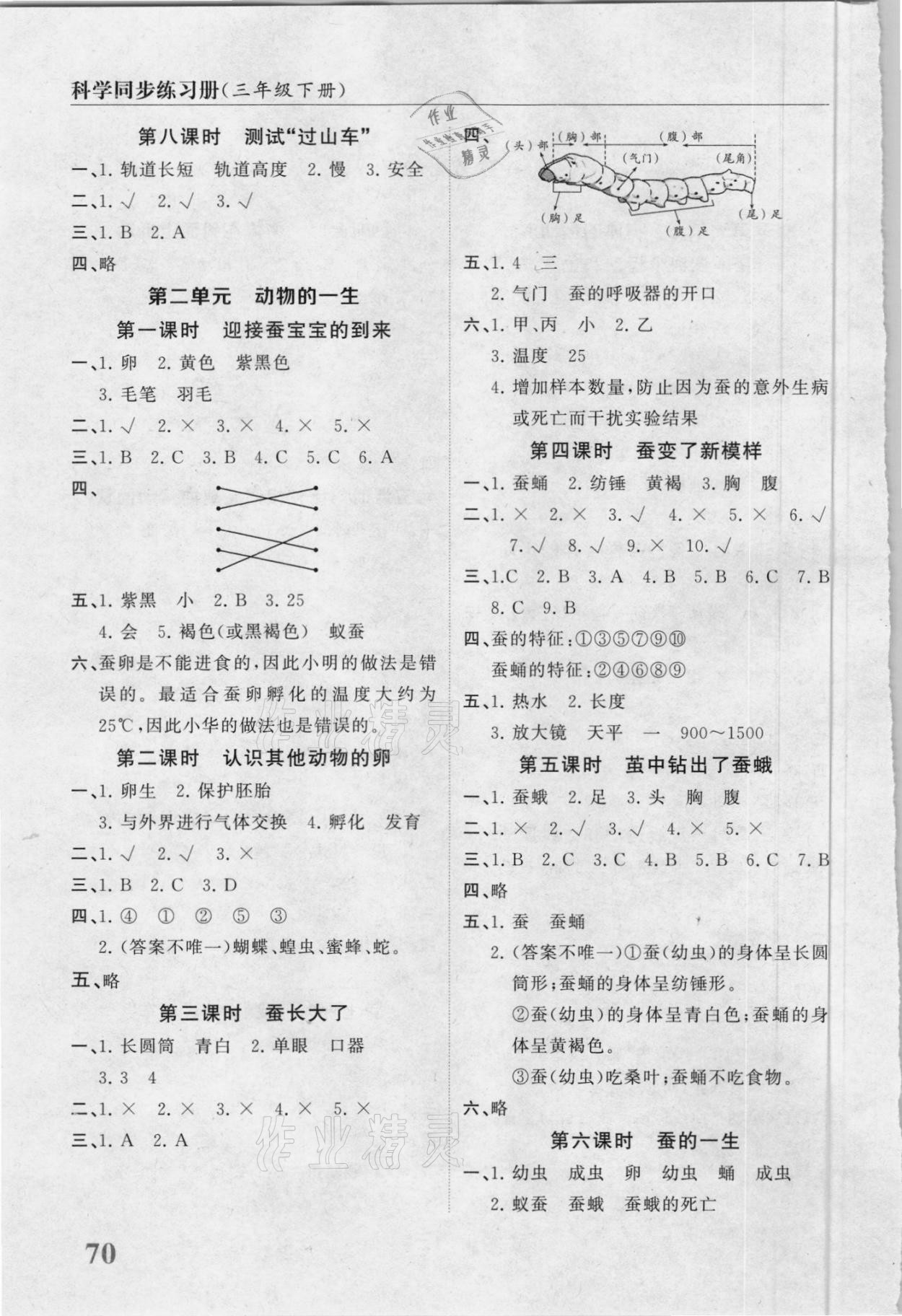 2021年科学同步练习册三年级下册教科版山东友谊出版社 第2页