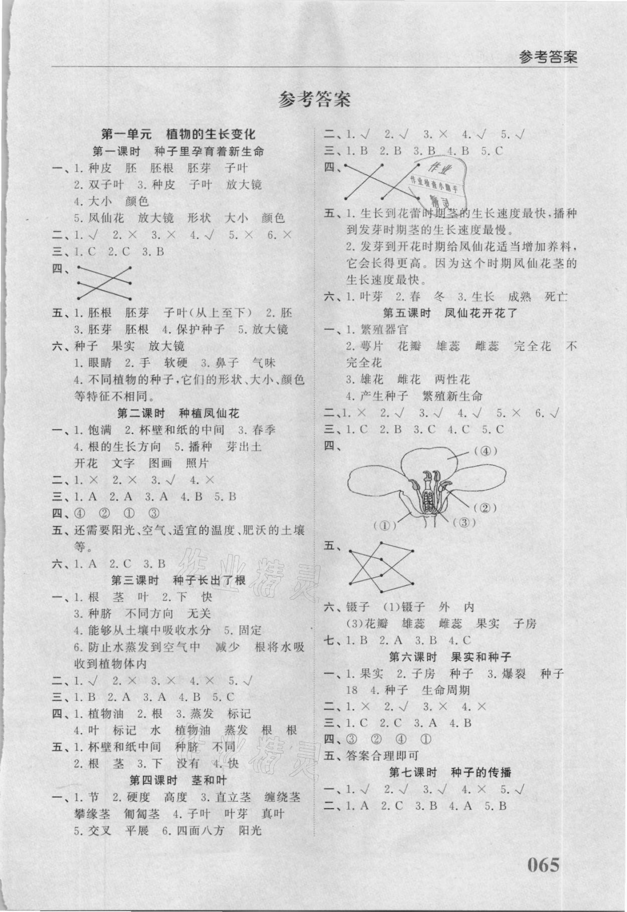 2021年科學同步練習冊四年級下冊教科版山東友誼出版社 第1頁