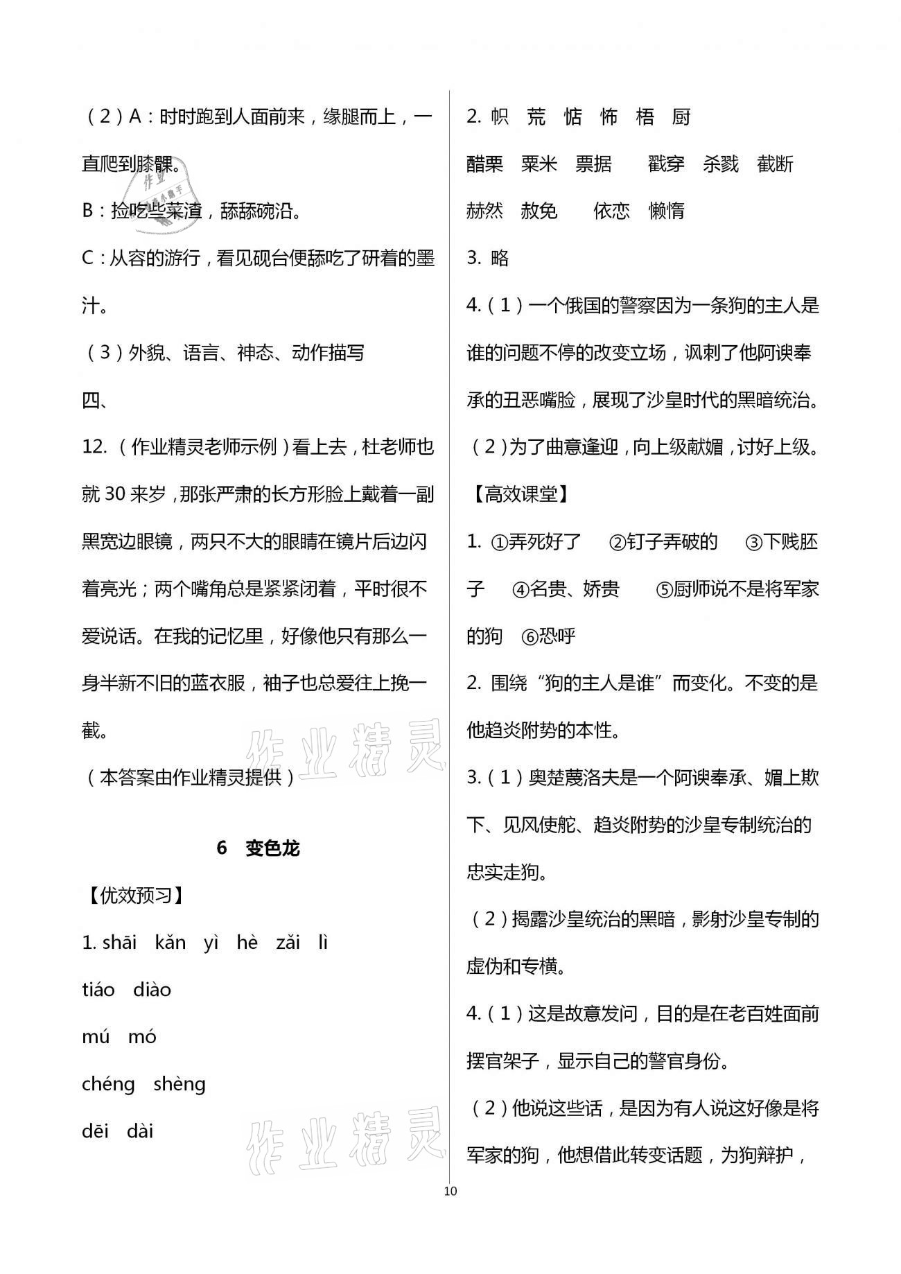 2021年人教金学典同步解析与测评九年级语文下册人教版重庆专版 第10页