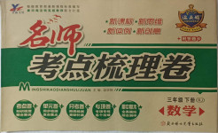 2021年名師考點梳理卷三年級數學下冊人教版