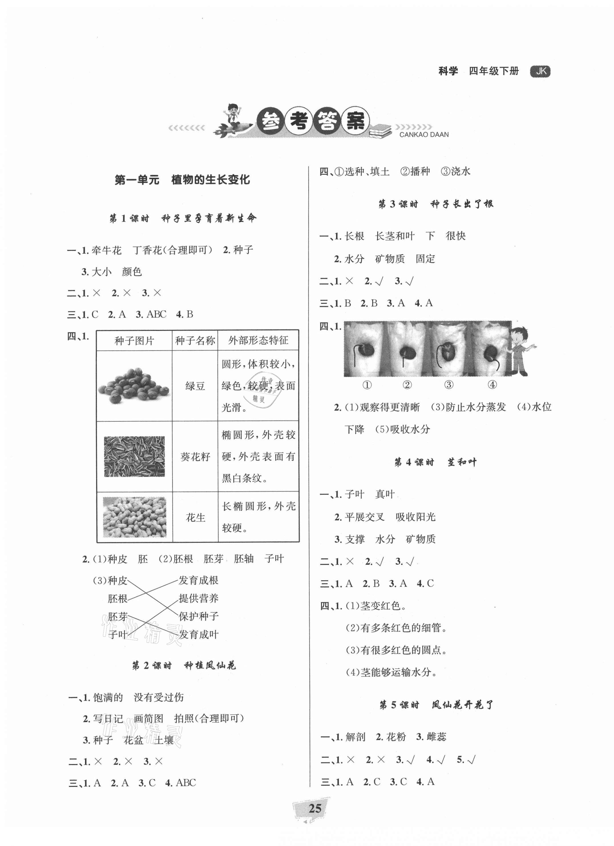 2021年陽光作業(yè)本課時(shí)天天練四年級(jí)科學(xué)下冊(cè)教科版 參考答案第1頁