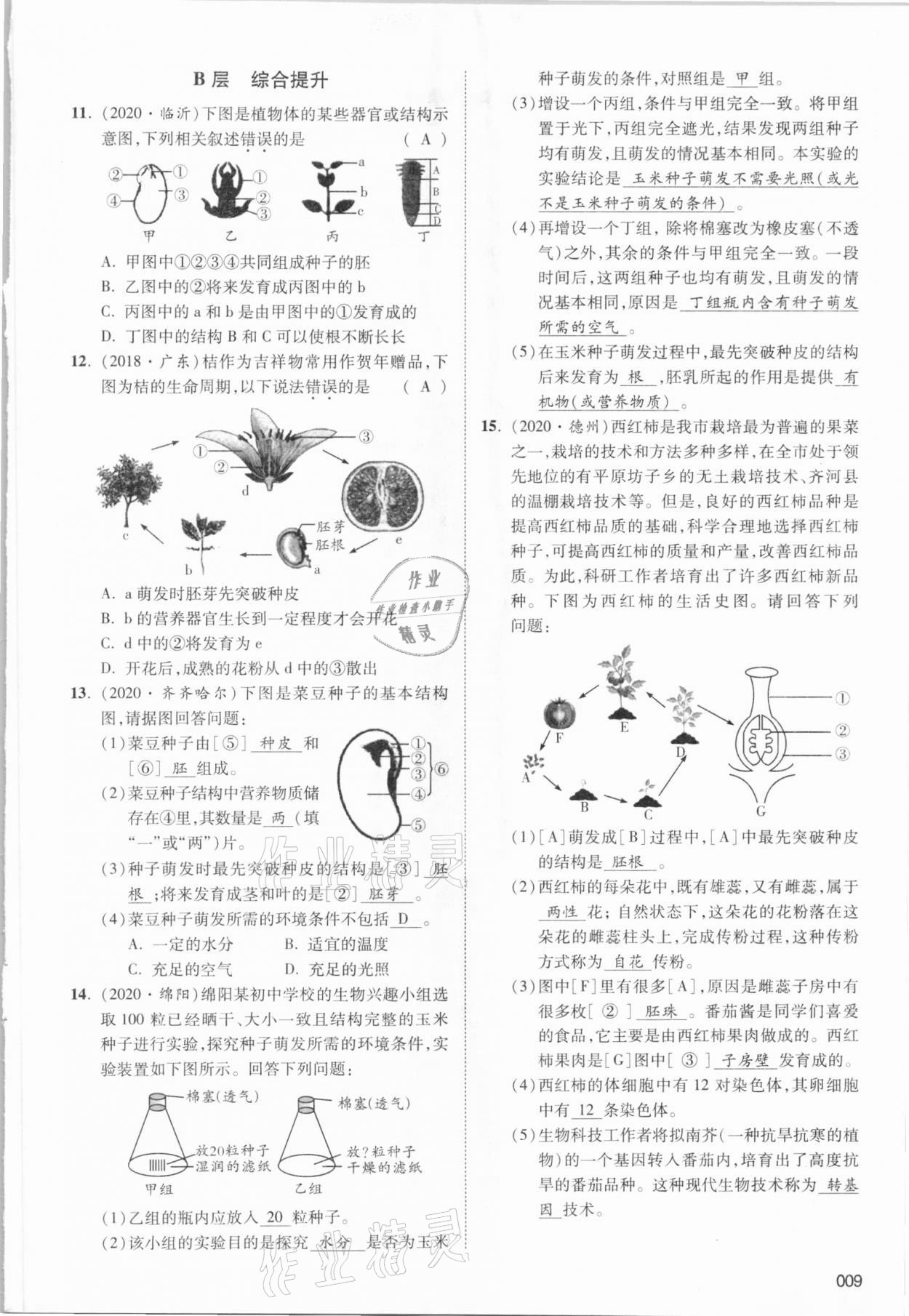 2021年中考狀元生物北師大版 參考答案第15頁(yè)