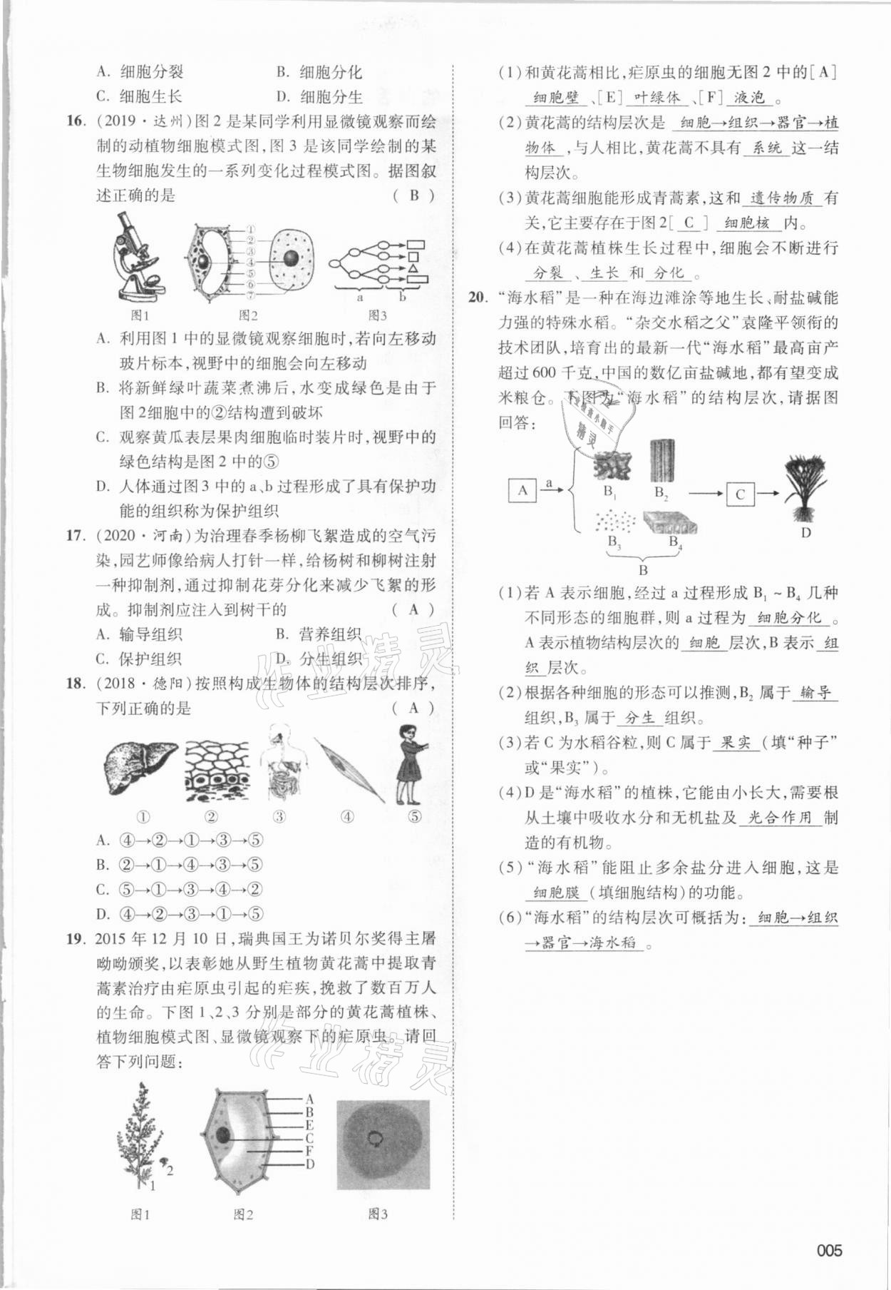 2021年中考狀元生物北師大版 參考答案第7頁