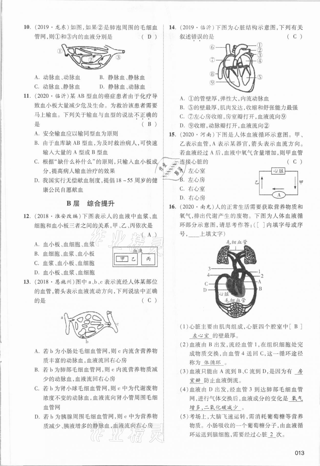 2021年中考狀元生物北師大版 參考答案第23頁