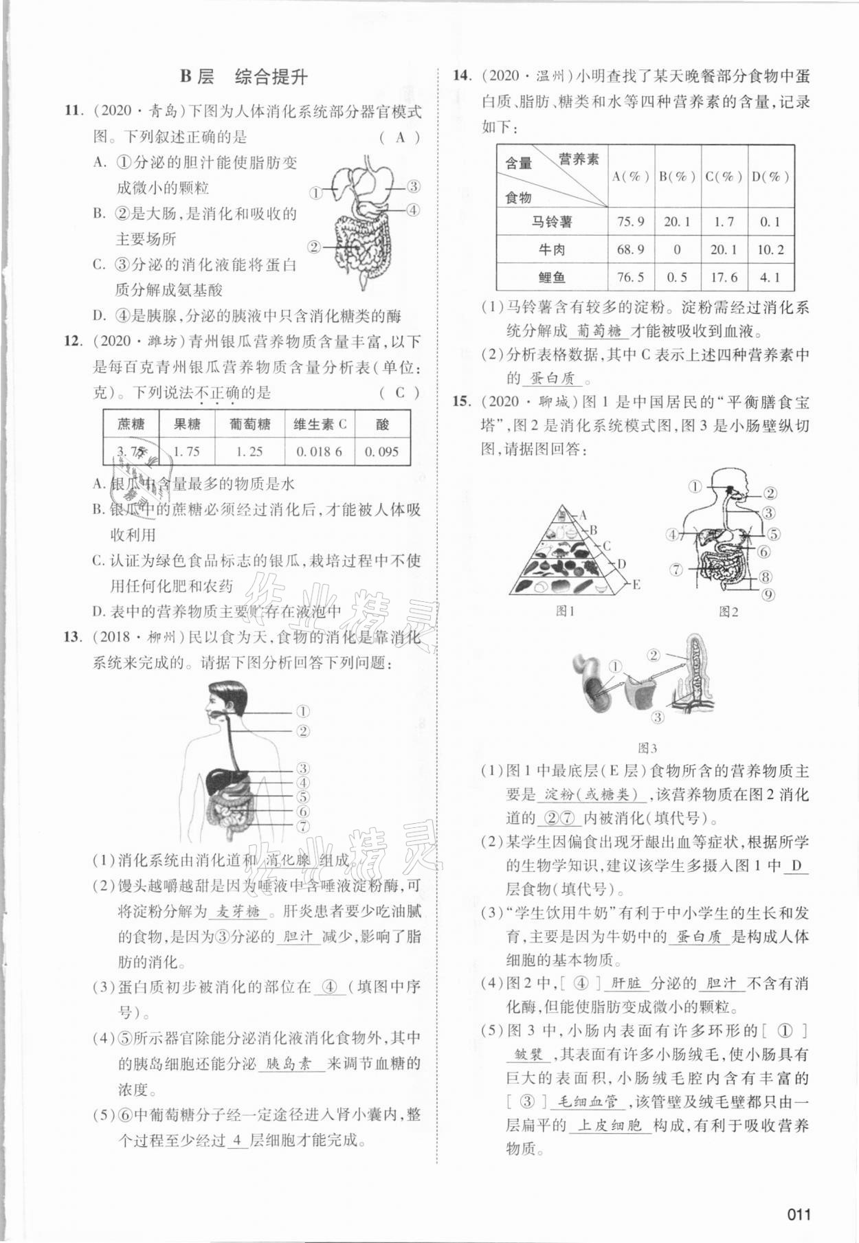 2021年中考狀元生物北師大版 參考答案第19頁