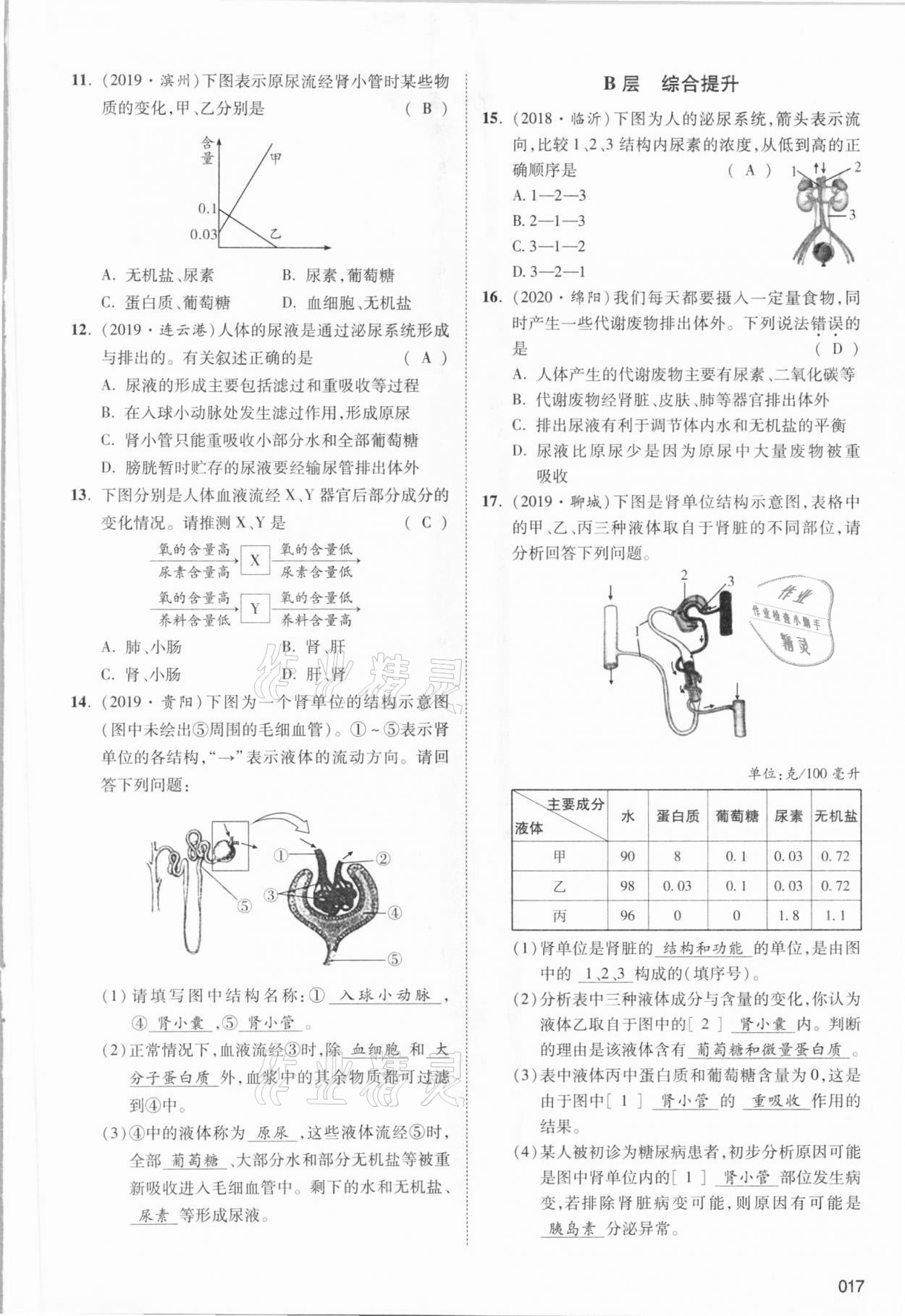 2021年中考狀元生物北師大版 參考答案第31頁