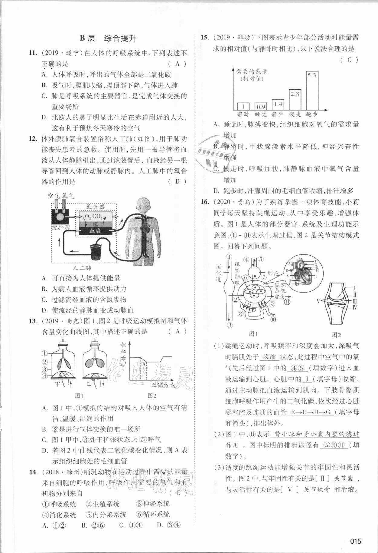 2021年中考狀元生物北師大版 參考答案第27頁