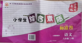 2021年小學生綜合素質(zhì)標準卷六年級語文下冊部編版金麗衢專版