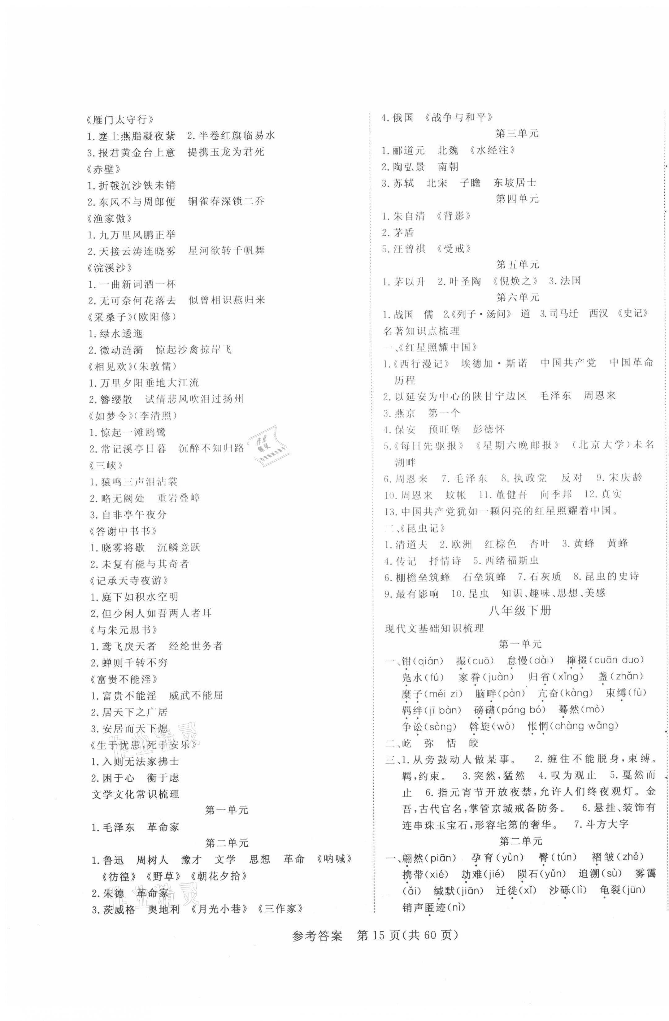 2021年中考新航標(biāo)初中學(xué)考復(fù)習(xí)方案語文 第15頁