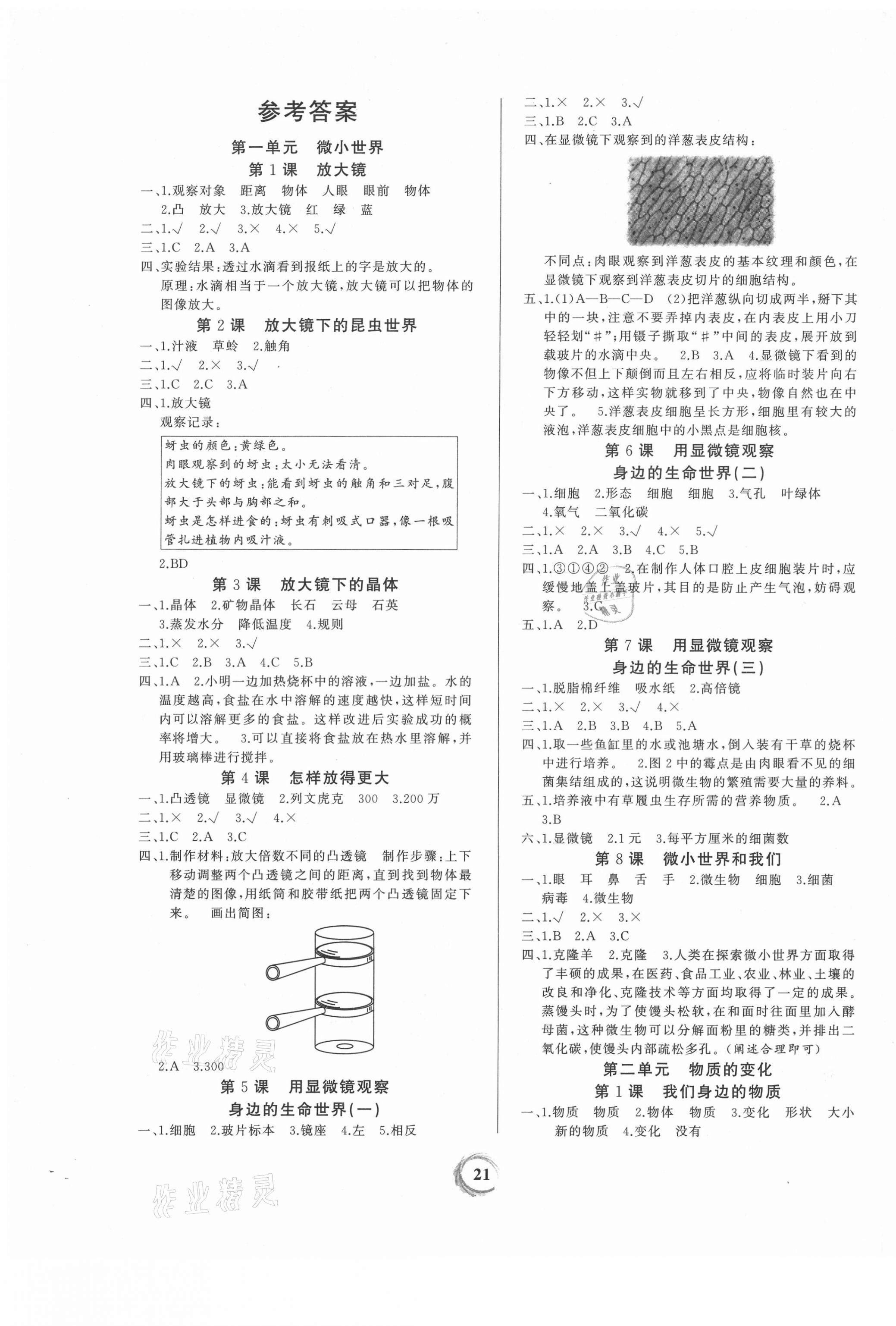 2021年家庭作業(yè)六年級(jí)科學(xué)下冊(cè)教科版 第1頁(yè)