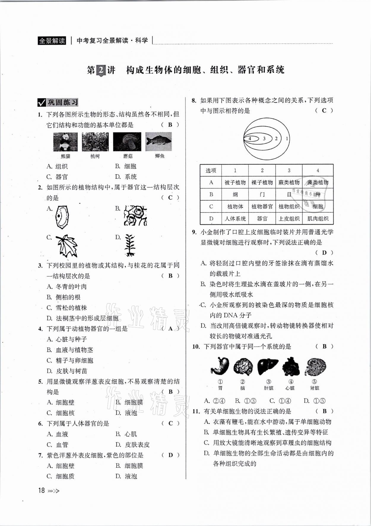 2021年中考復(fù)習全景解讀科學浙教版 參考答案第17頁