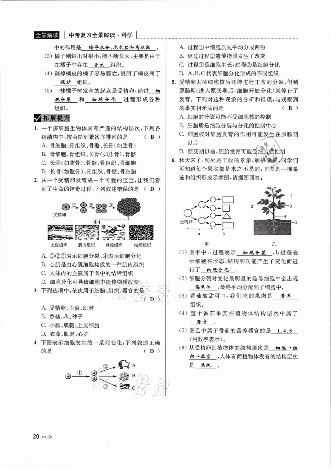 2021年中考復(fù)習(xí)全景解讀科學(xué)浙教版 參考答案第19頁(yè)