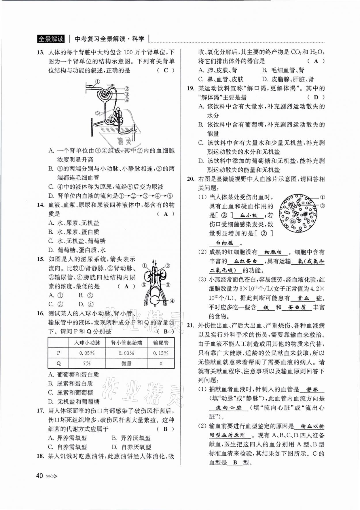 2021年中考復(fù)習(xí)全景解讀科學(xué)浙教版 參考答案第39頁
