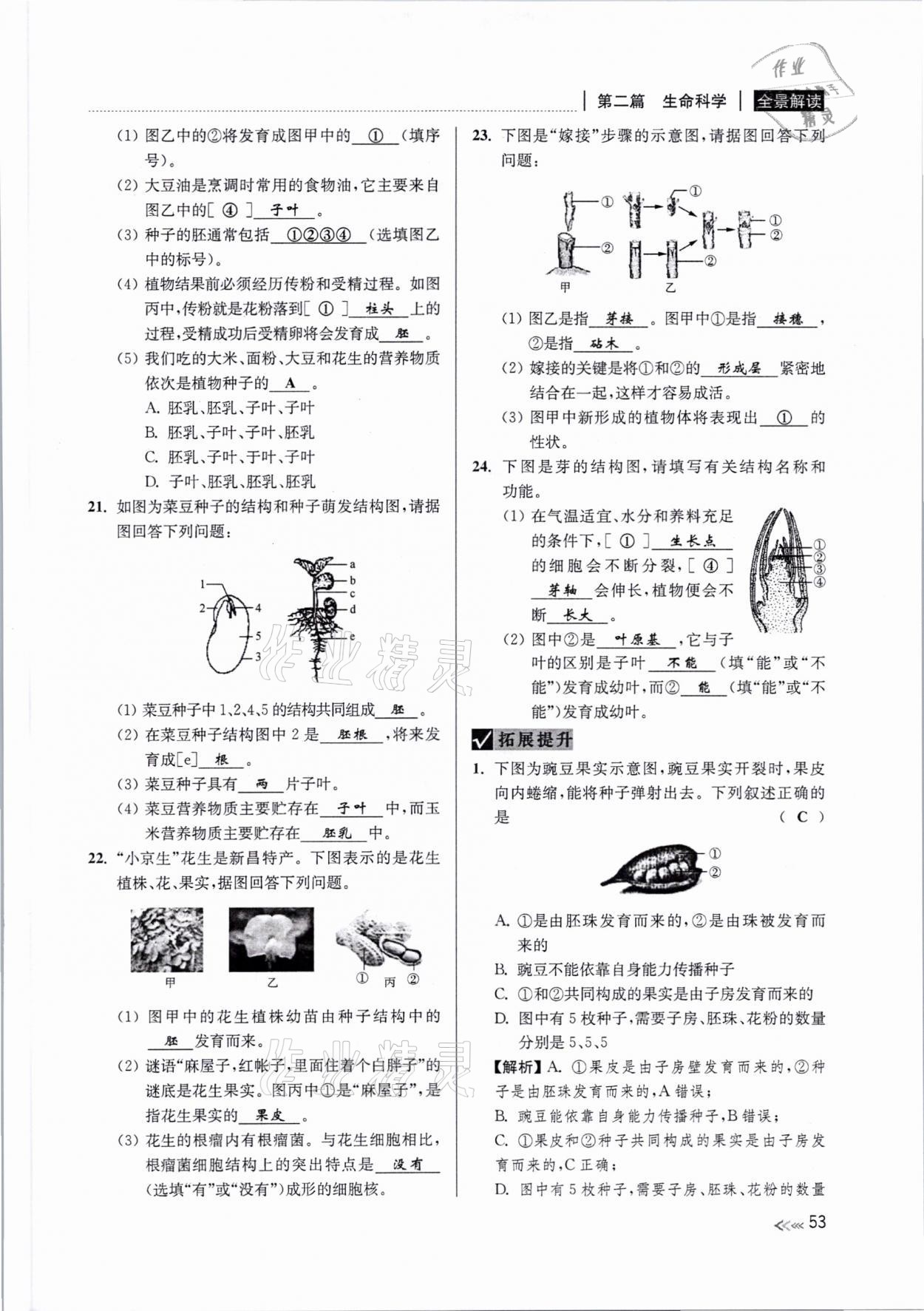 2021年中考復(fù)習(xí)全景解讀科學(xué)浙教版 參考答案第52頁(yè)
