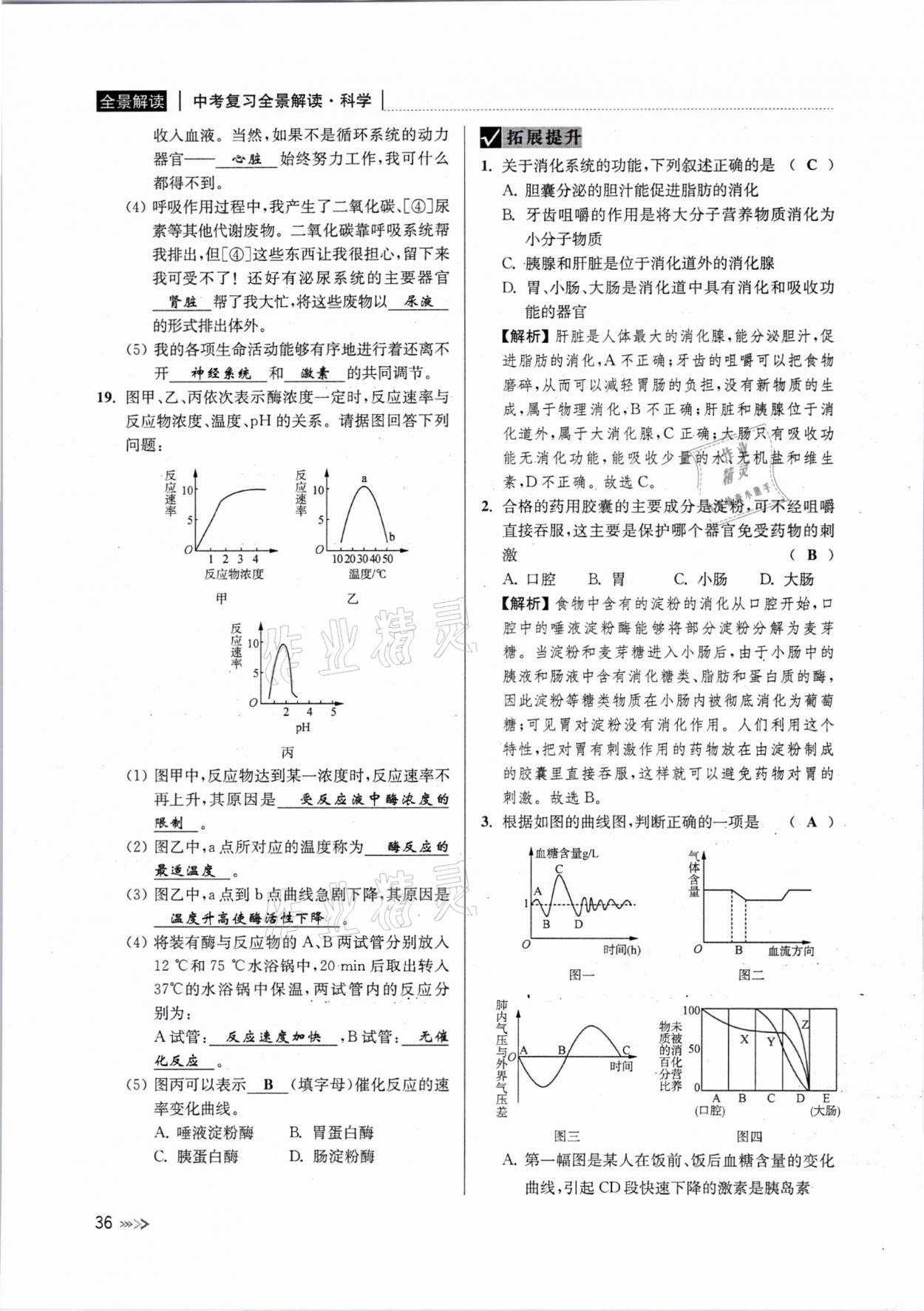 2021年中考復(fù)習(xí)全景解讀科學(xué)浙教版 參考答案第35頁