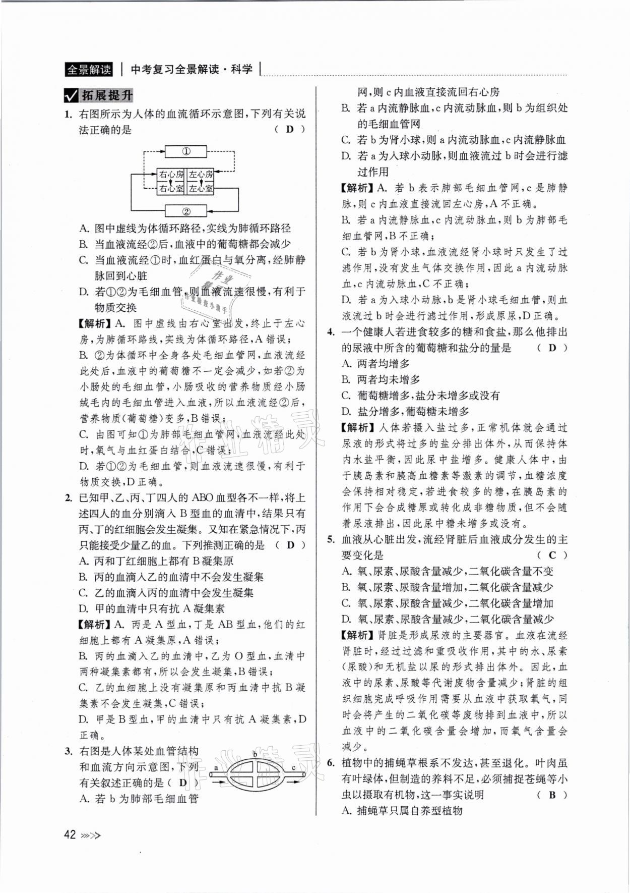 2021年中考復(fù)習(xí)全景解讀科學(xué)浙教版 參考答案第41頁