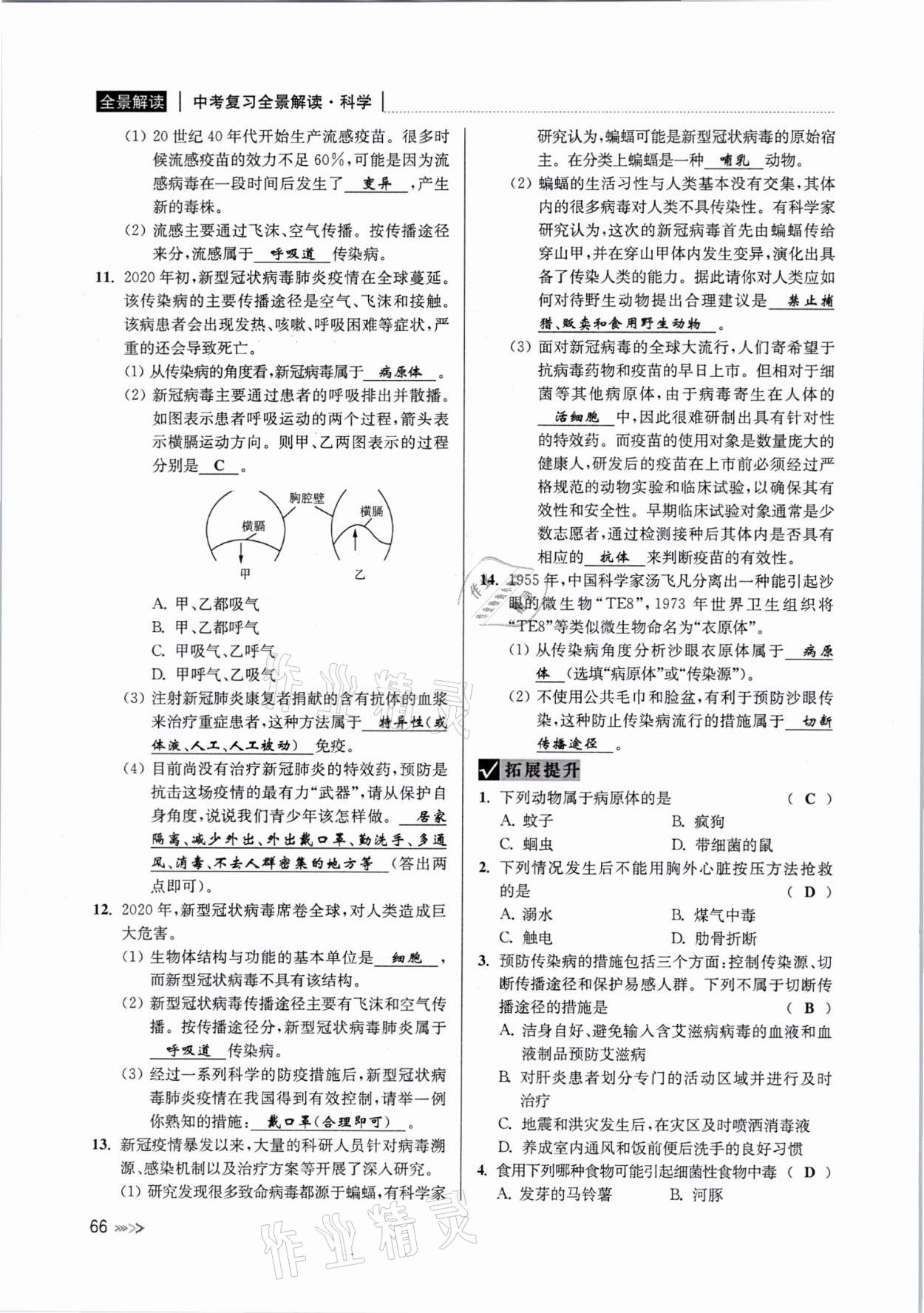 2021年中考復(fù)習(xí)全景解讀科學(xué)浙教版 參考答案第65頁