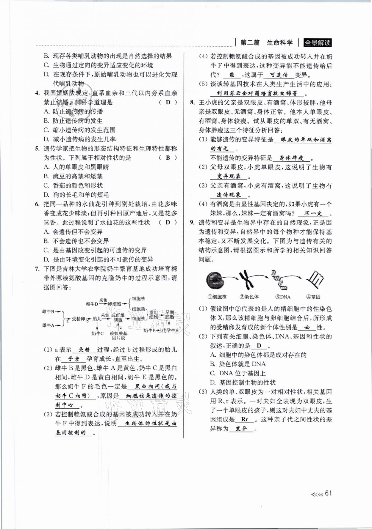 2021年中考復(fù)習(xí)全景解讀科學(xué)浙教版 參考答案第60頁