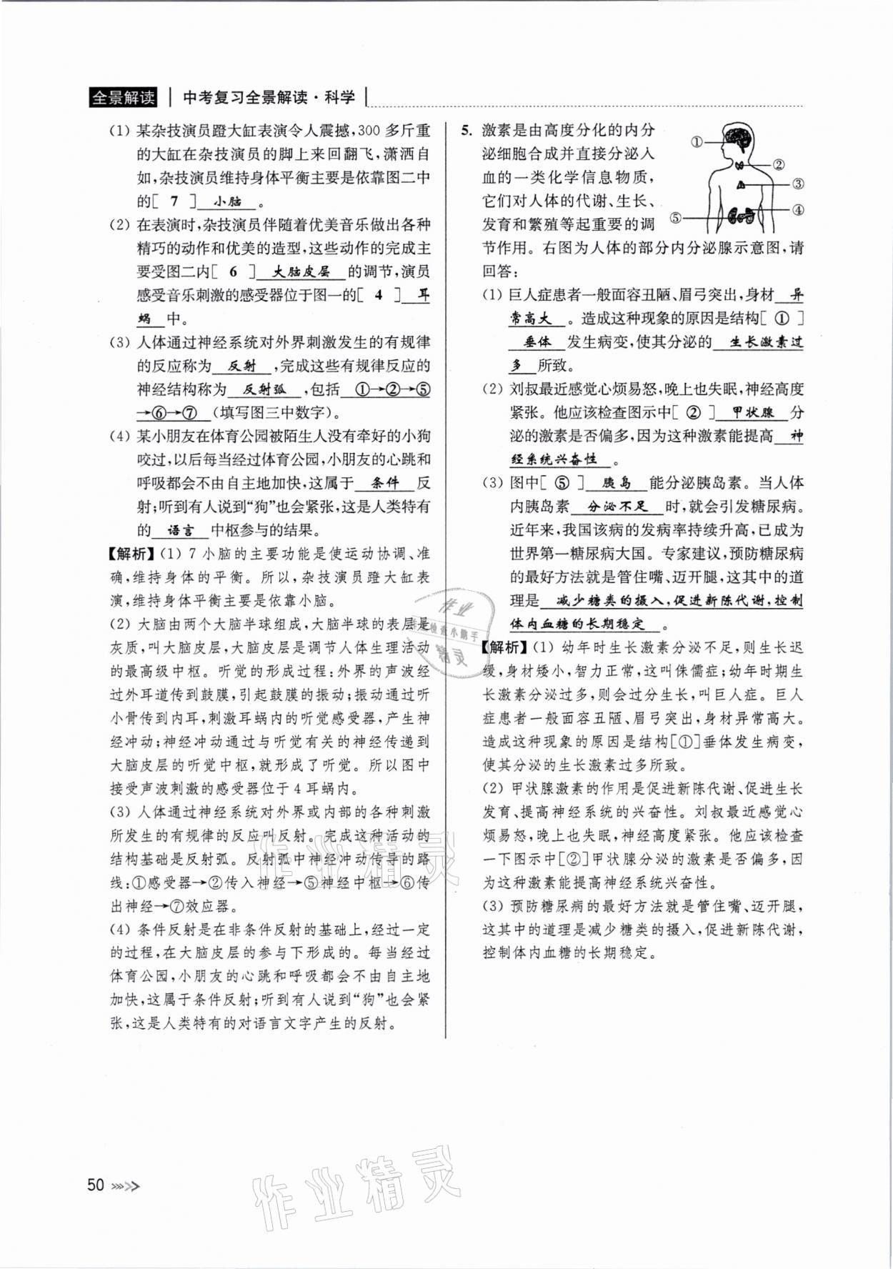 2021年中考復(fù)習(xí)全景解讀科學(xué)浙教版 參考答案第49頁