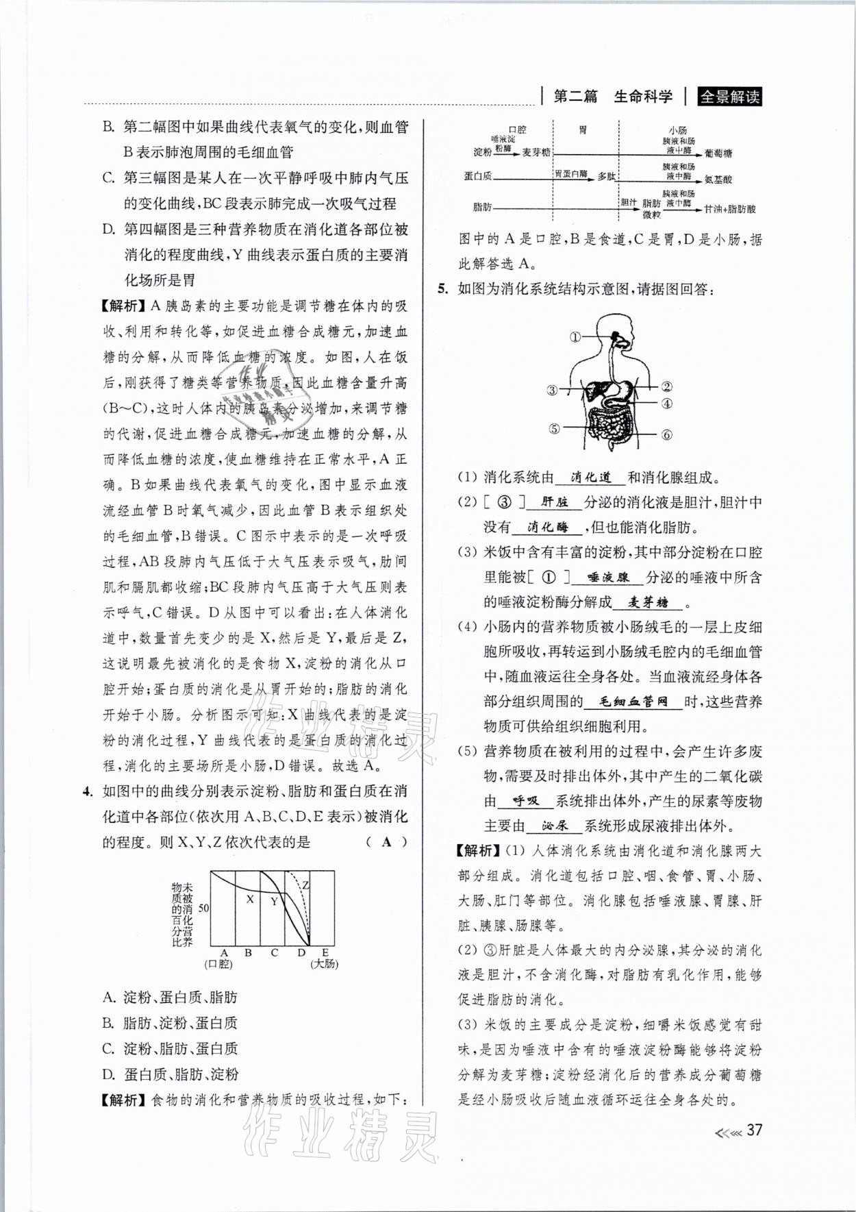2021年中考復習全景解讀科學浙教版 參考答案第36頁