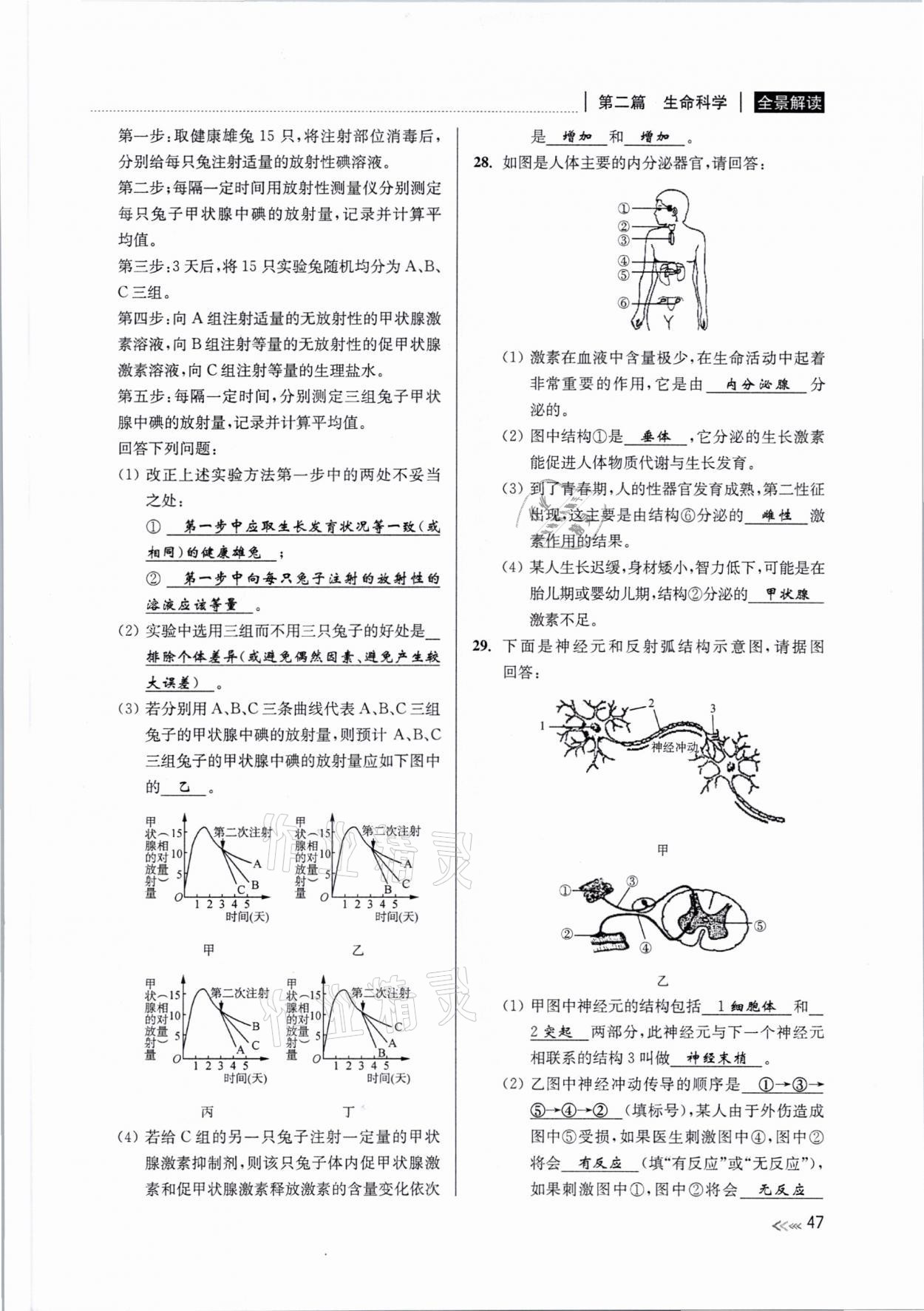 2021年中考復(fù)習(xí)全景解讀科學(xué)浙教版 參考答案第46頁(yè)