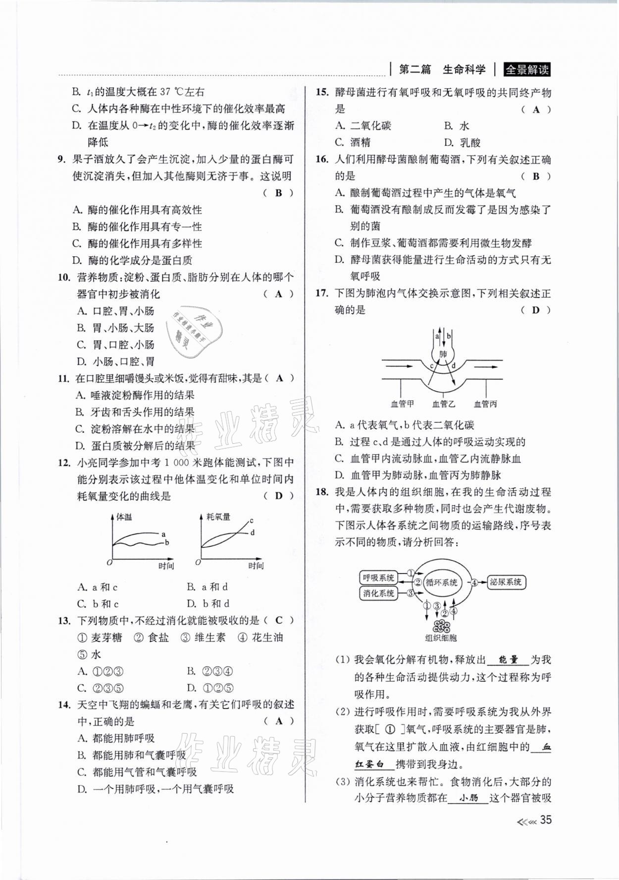 2021年中考復(fù)習(xí)全景解讀科學(xué)浙教版 參考答案第34頁