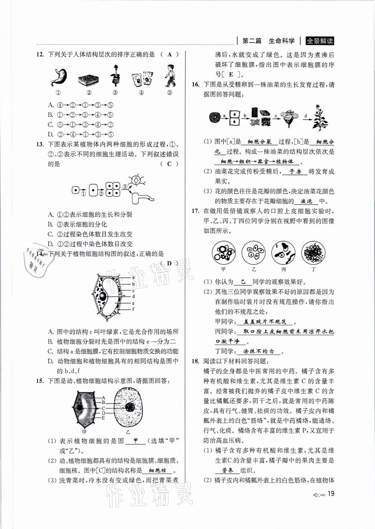 2021年中考復(fù)習(xí)全景解讀科學(xué)浙教版 參考答案第18頁