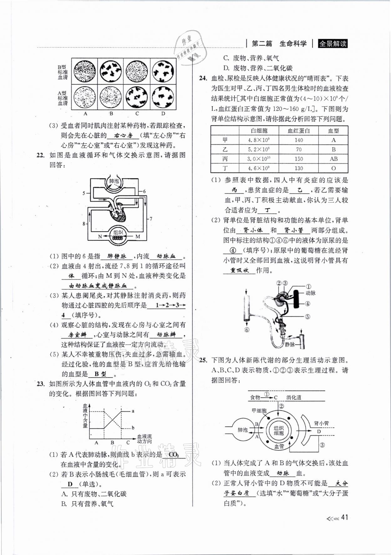2021年中考復習全景解讀科學浙教版 參考答案第40頁