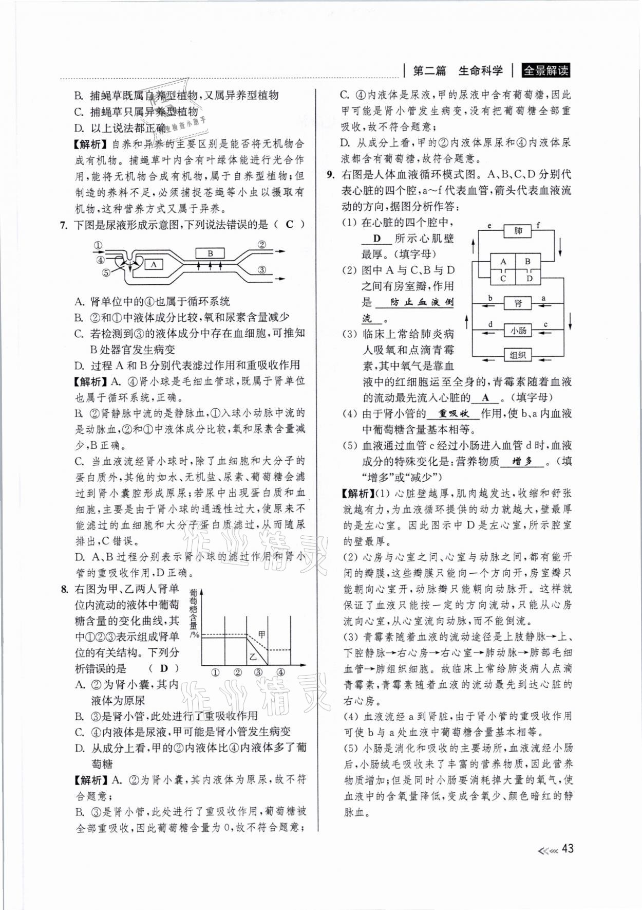 2021年中考復(fù)習(xí)全景解讀科學(xué)浙教版 參考答案第42頁