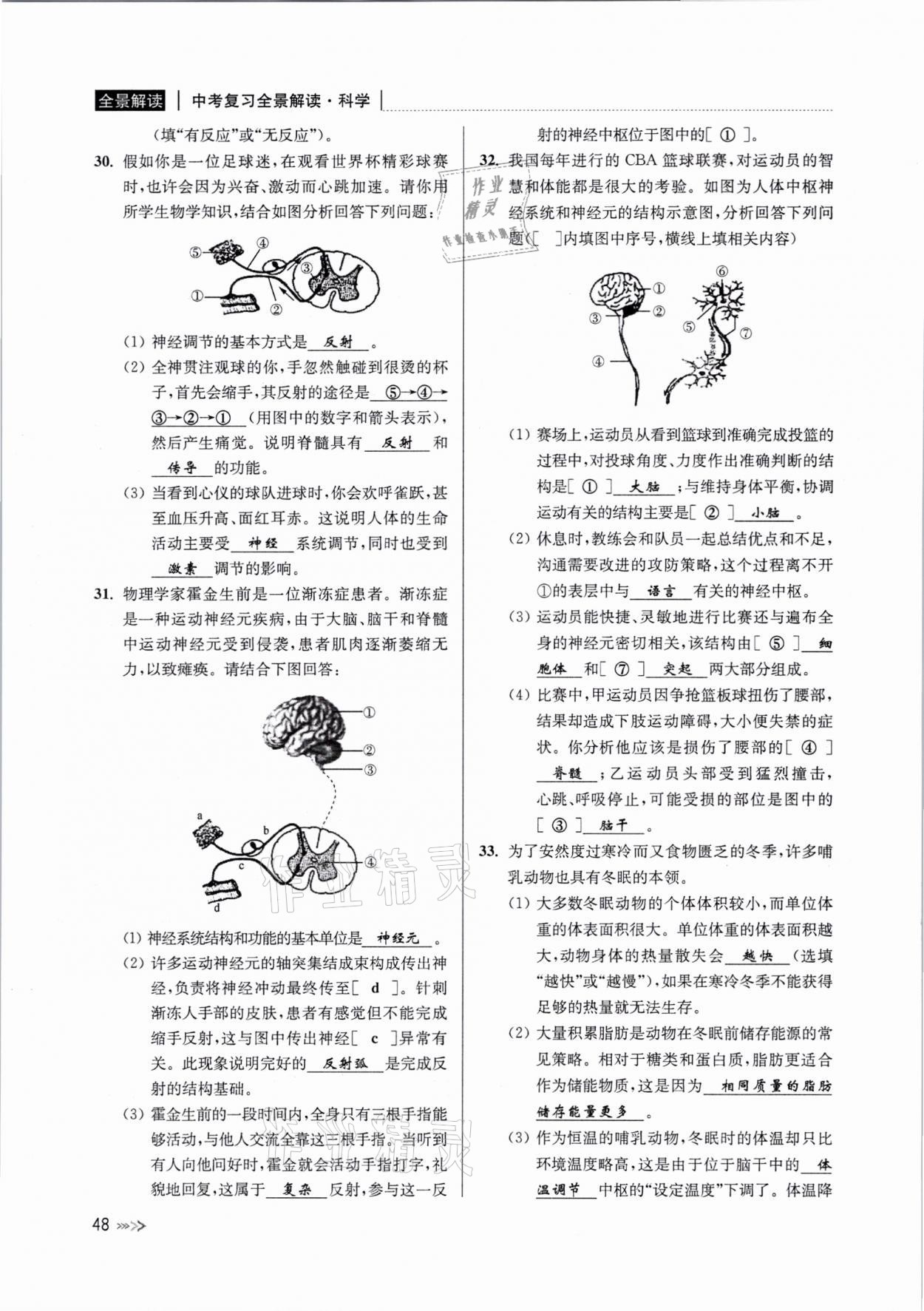 2021年中考復(fù)習(xí)全景解讀科學(xué)浙教版 參考答案第47頁