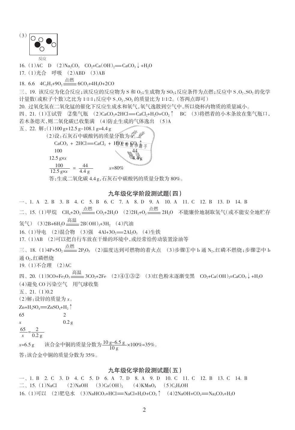 2021年海南中學(xué)中考總復(fù)習(xí)化學(xué)人教版 第2頁