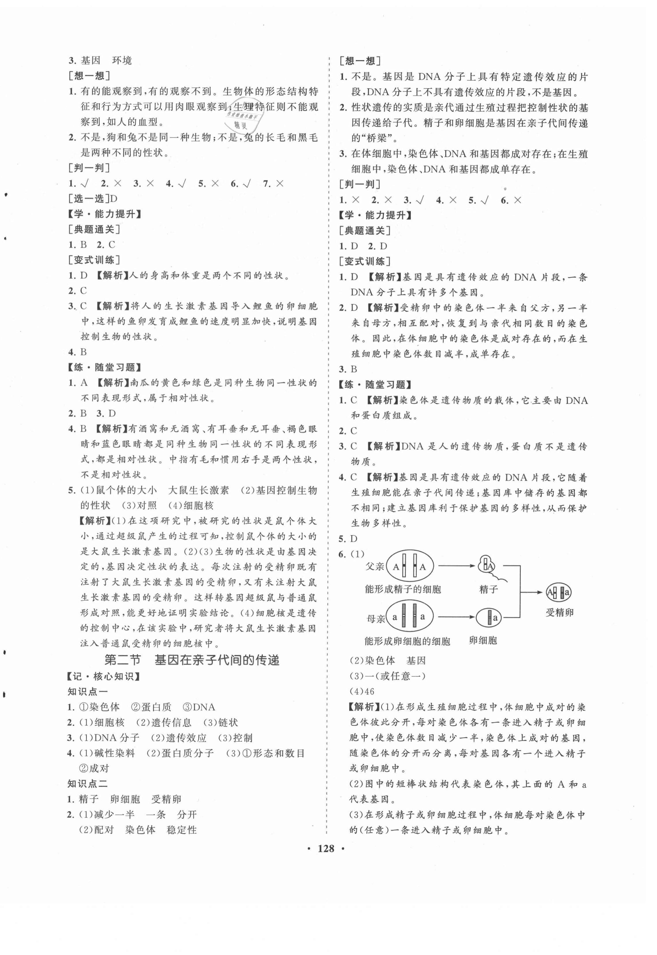 2021年新课程同步练习册八年级生物下册人教版海南专版 第4页