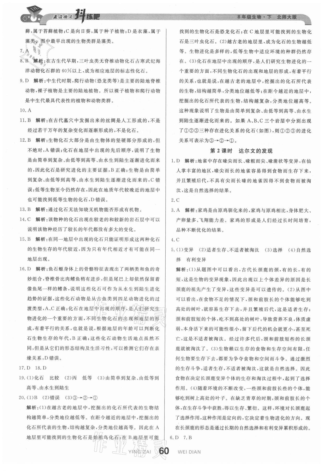 2021年抖練吧八年級生物下冊北師大版 第2頁