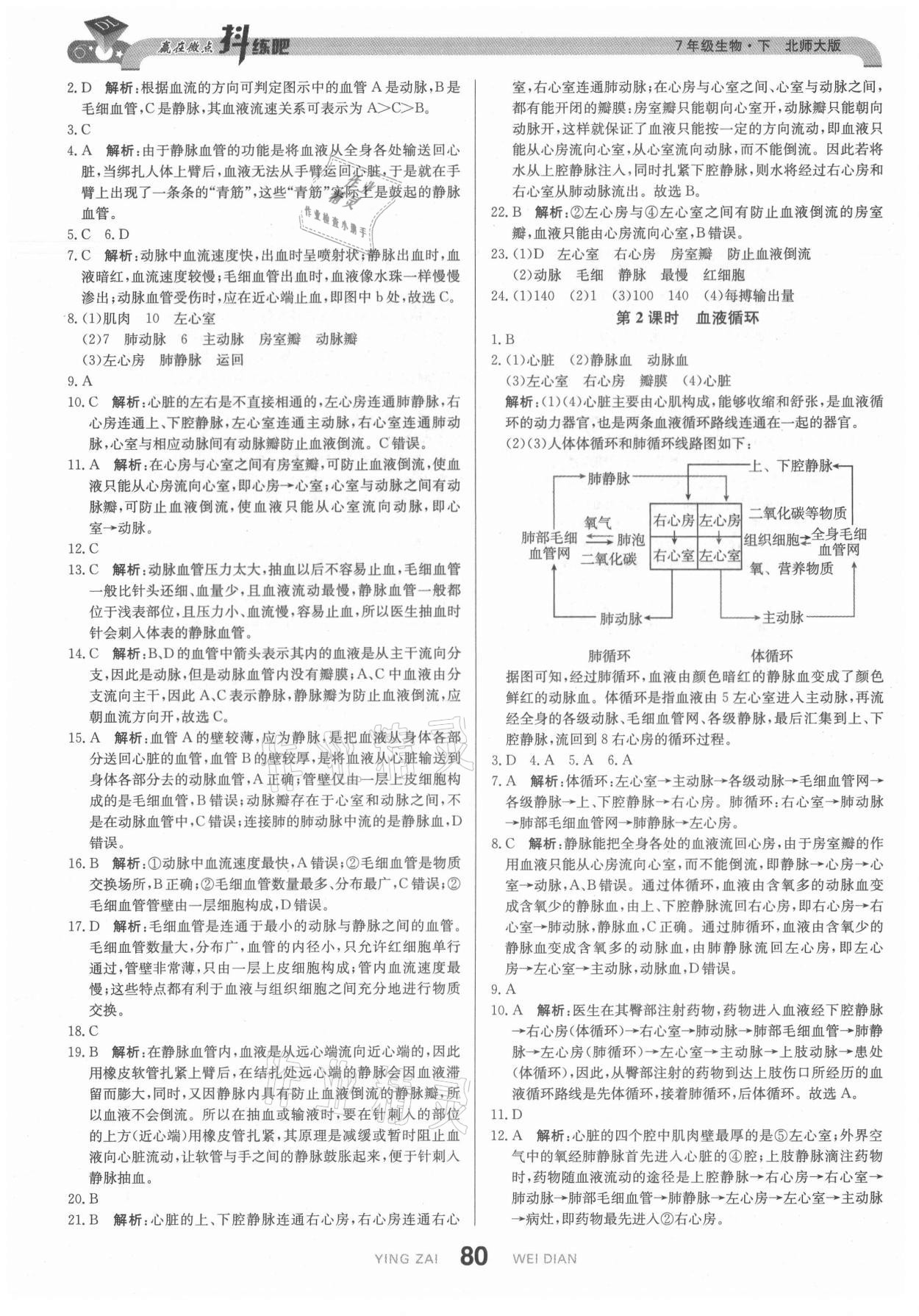 2021年抖練吧七年級生物下冊北師大版 第6頁