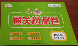 2021年通關(guān)檢測卷六年級數(shù)學下冊人教版