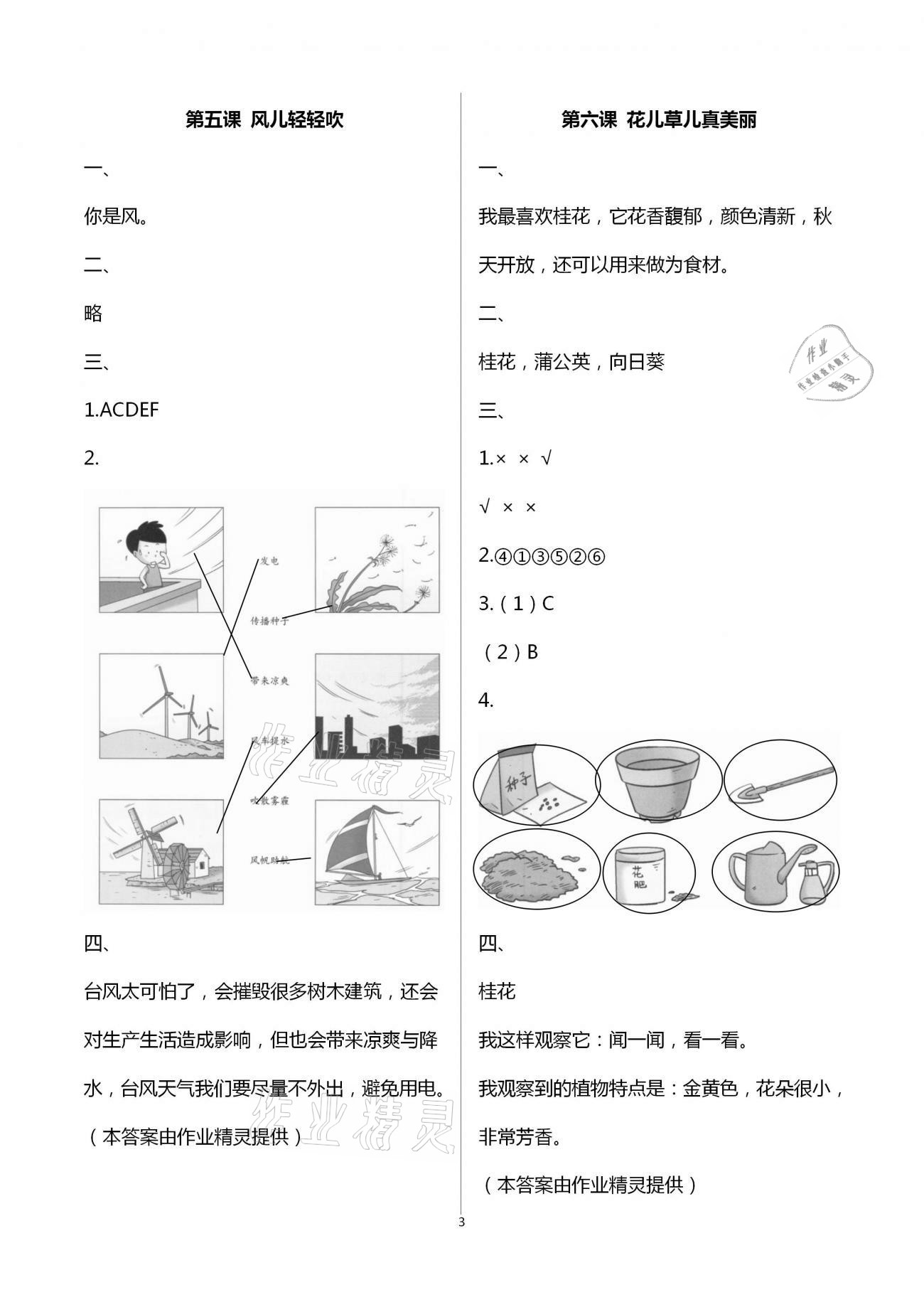 2021年知识与能力训练一年级道德与法治下册人教版 第3页