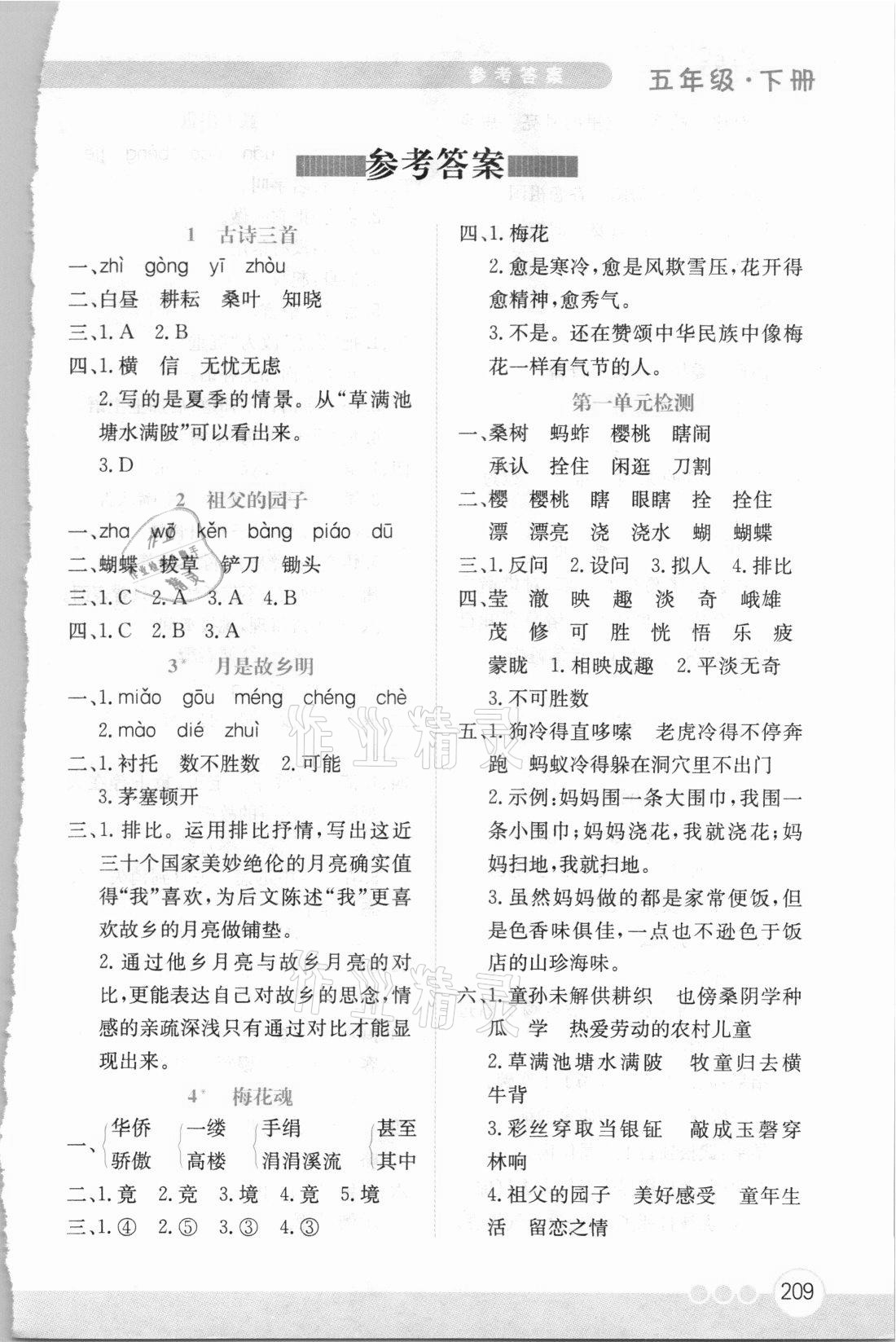 2021年小學(xué)語文全解字詞句段篇章五年級下冊人教版 參考答案第1頁