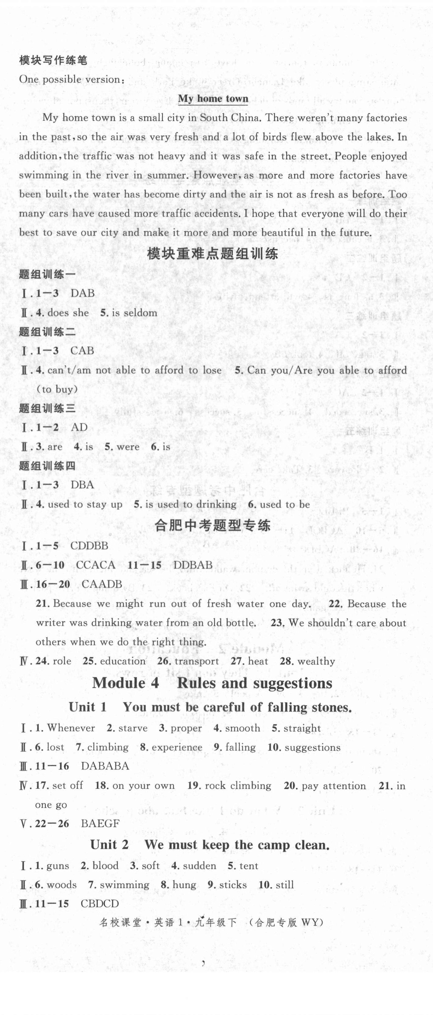 2021年名校課堂九年級英語下冊外研版1合肥專版 第5頁