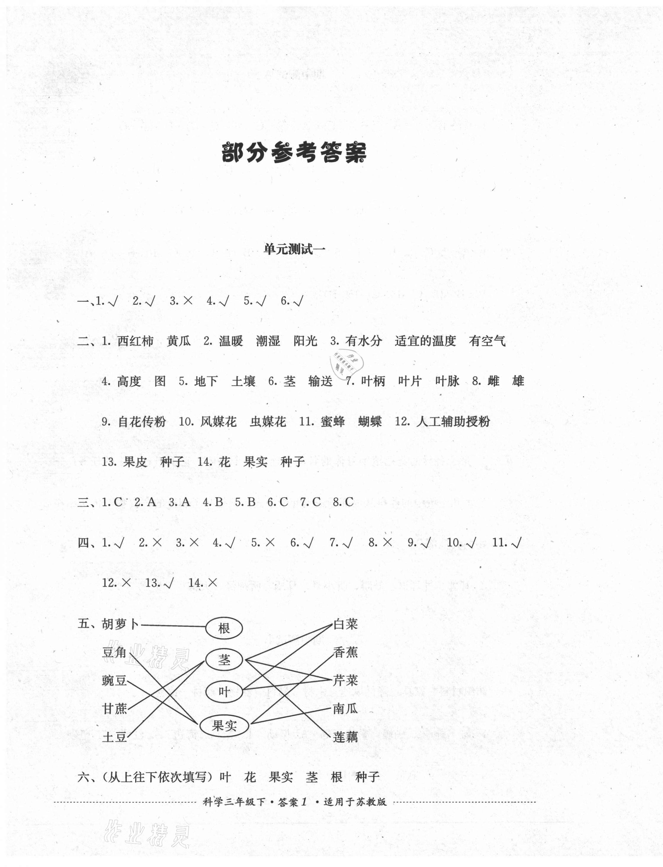 2021年單元測試三年級科學(xué)下冊蘇教版四川教育出版社 第1頁