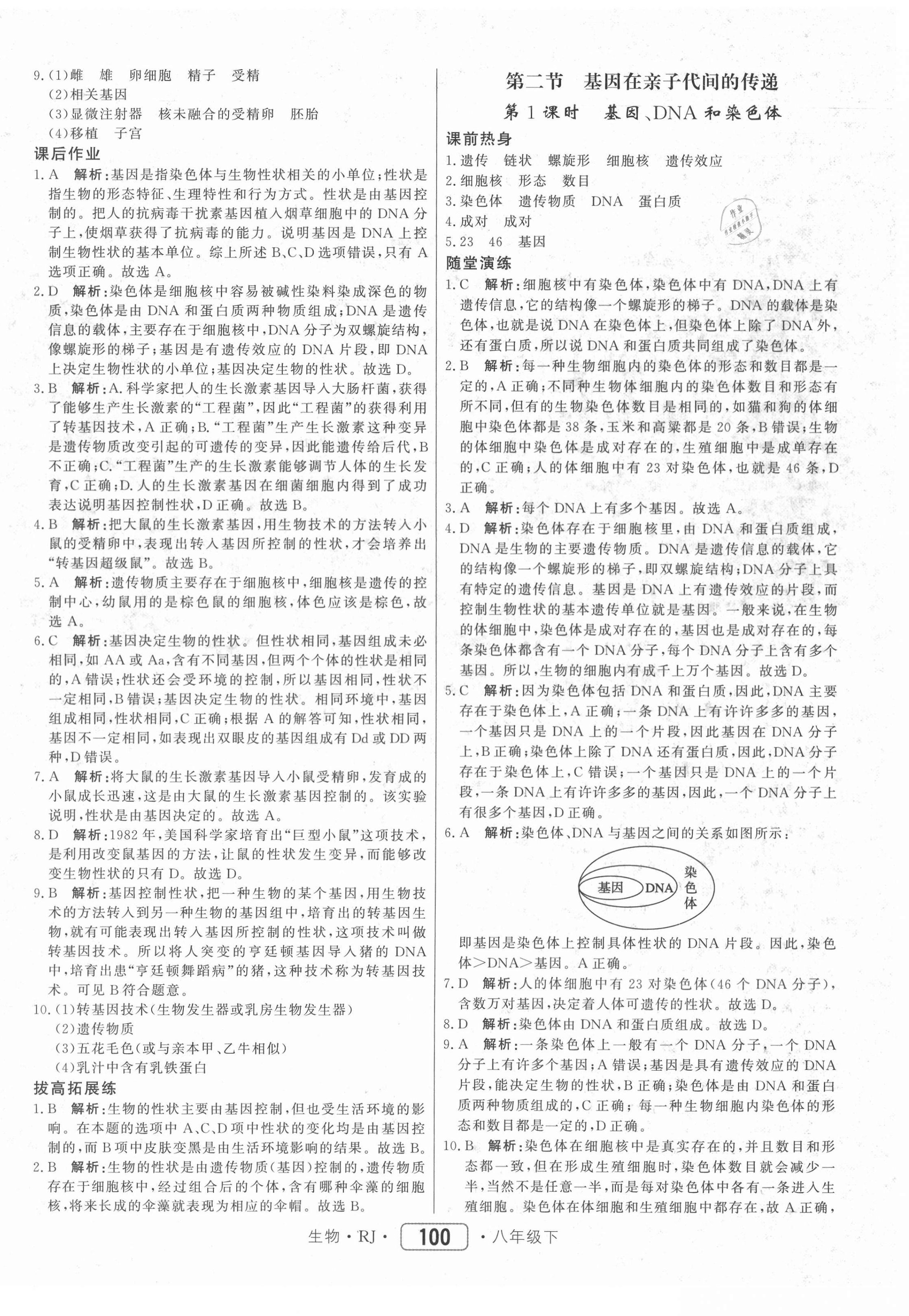 2021年紅對勾45分鐘作業(yè)與單元評估八年級生物下冊人教版 參考答案第8頁