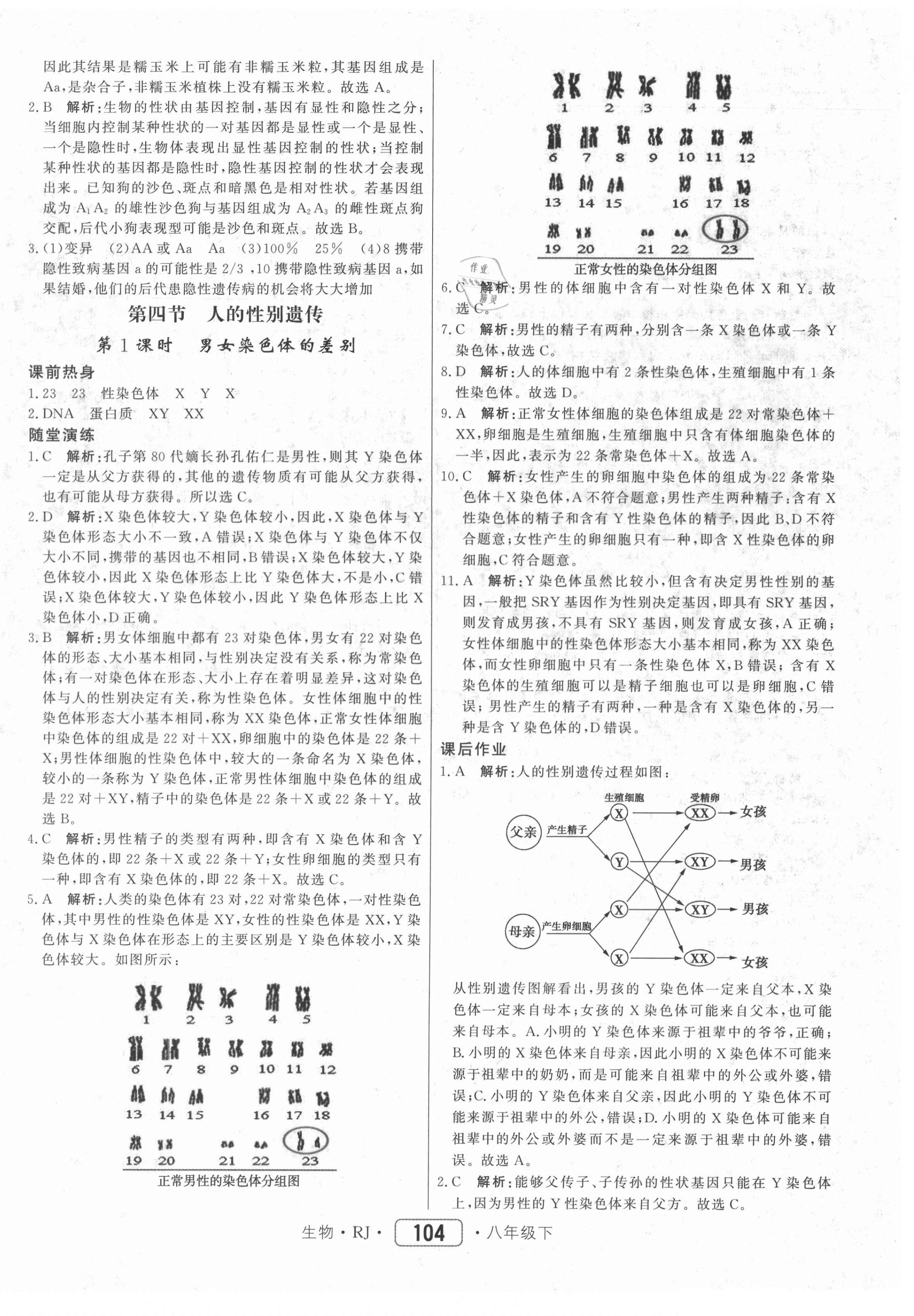 2021年紅對勾45分鐘作業(yè)與單元評估八年級生物下冊人教版 參考答案第12頁