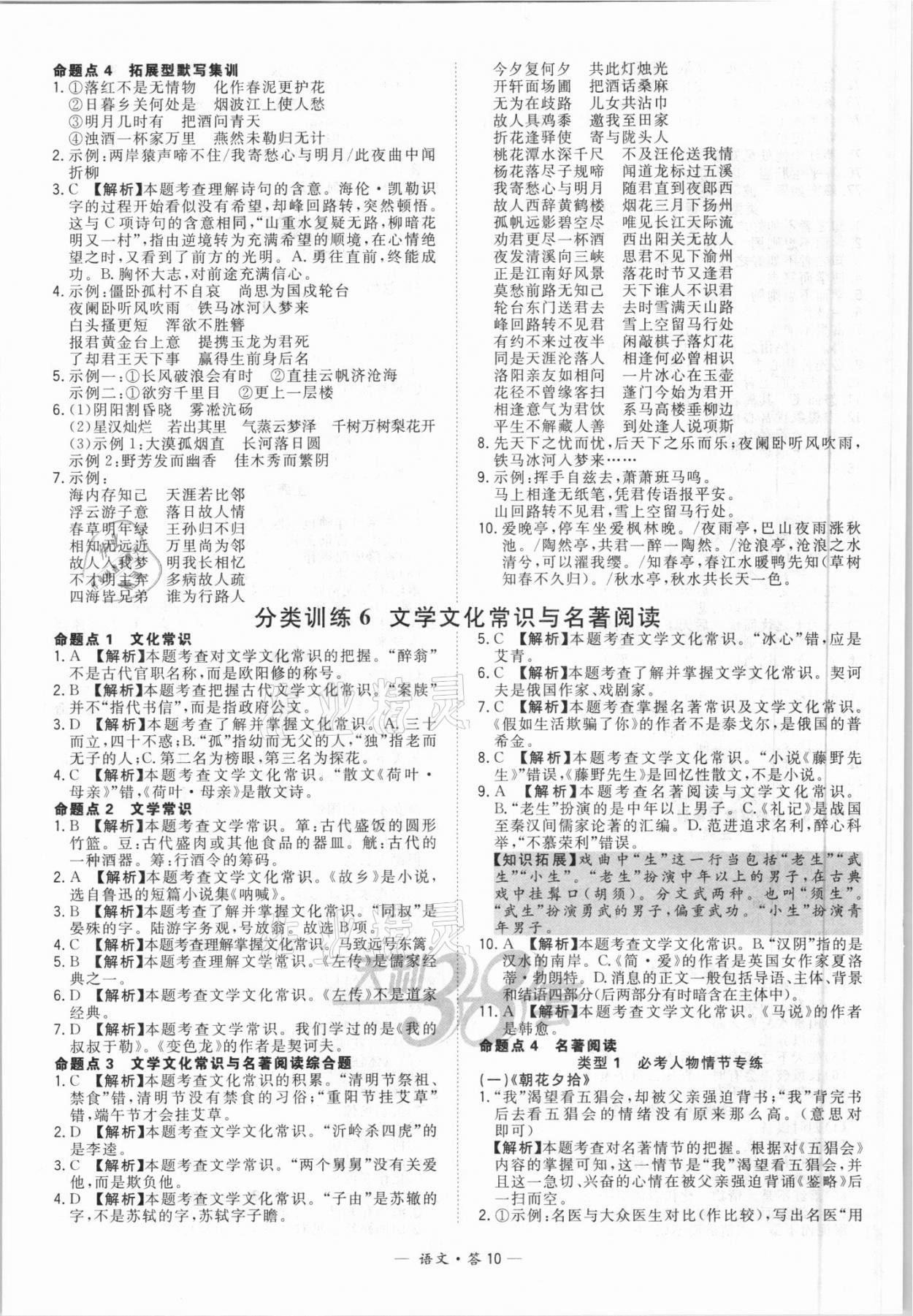 2021年天利38套全國中考試題分類訓練語文 第10頁