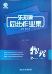 2021年樂知源同步作業(yè)集九年級物理下冊人教版