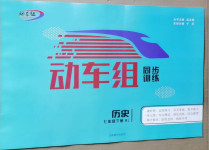 2021年動車組同步訓練七年級歷史下冊人教版