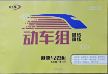 2021年動車組同步訓練七年級道德與法治下冊人教版